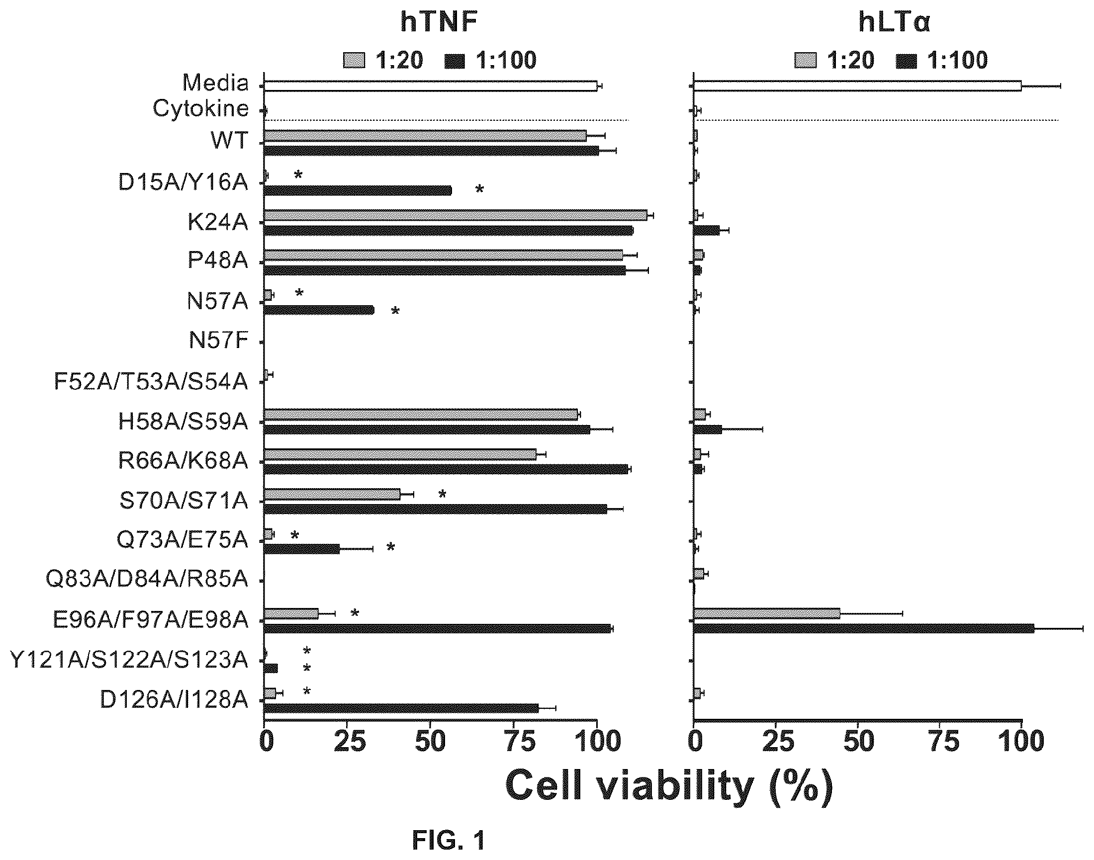 Patent US12365720 — Etanercept variants with improved therapeutical effect — Figure 1
