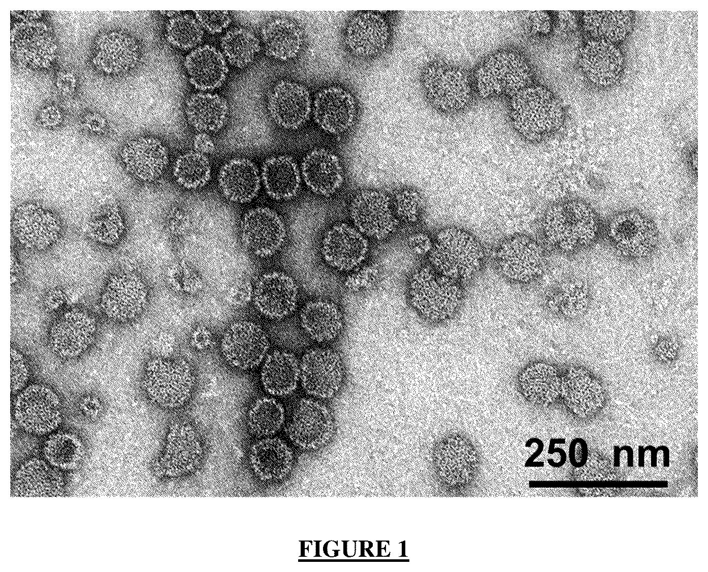 Patent US12365721 — Antibody targeting the VP-1 protein, fragments thereof, and uses of same for detecting infection with the BK polyomavirus — Figure 1