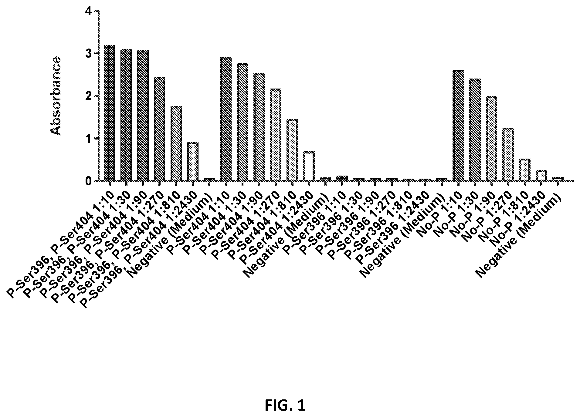 Patent US12365724 — Antibodies binding to phospho-tau comprising phosphorylated Ser396 and Ser404 and methods of detecting thereof — Figure 1