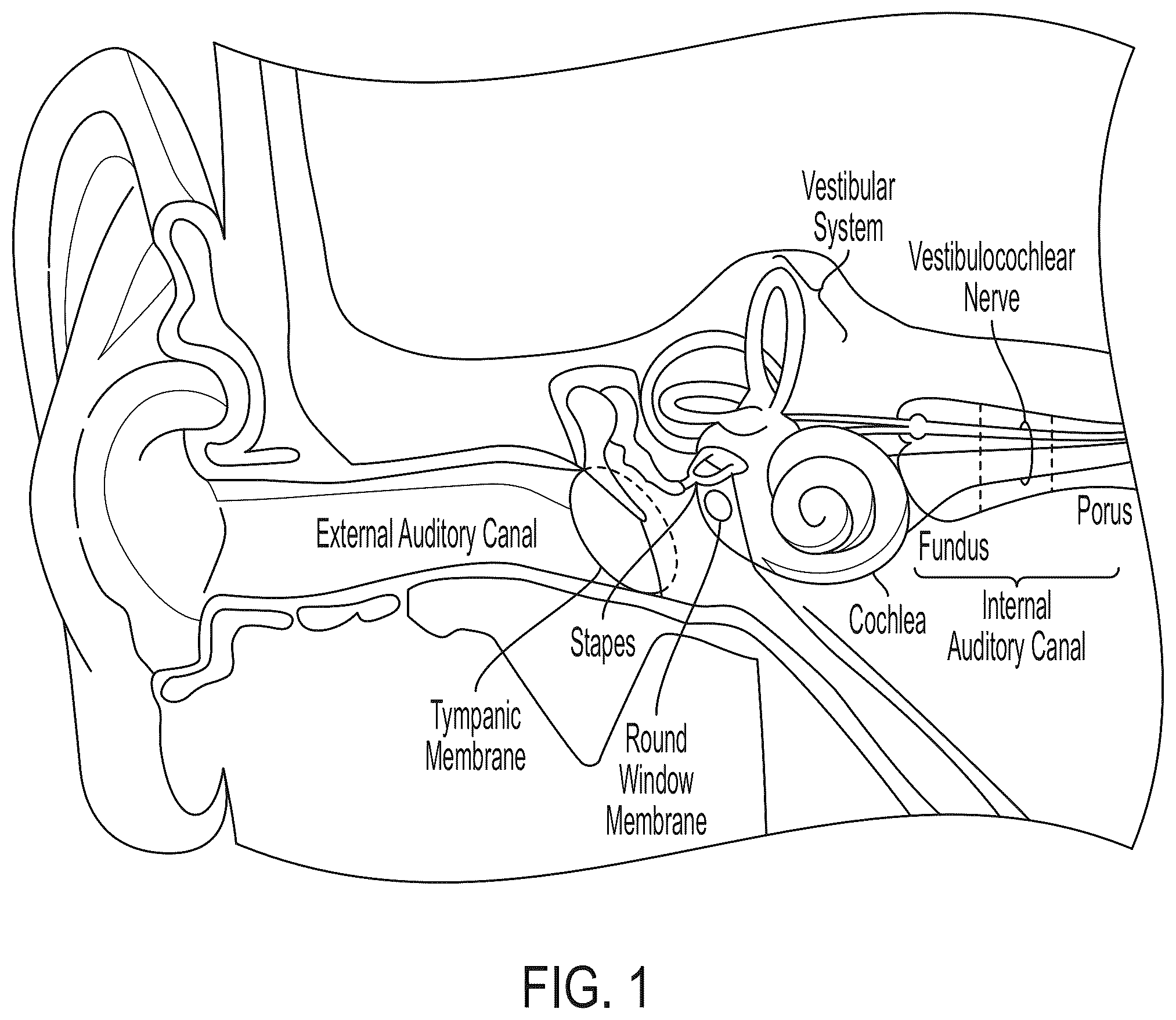 Patent US12365726 — Anti-VEGF antibody constructs — Figure 1