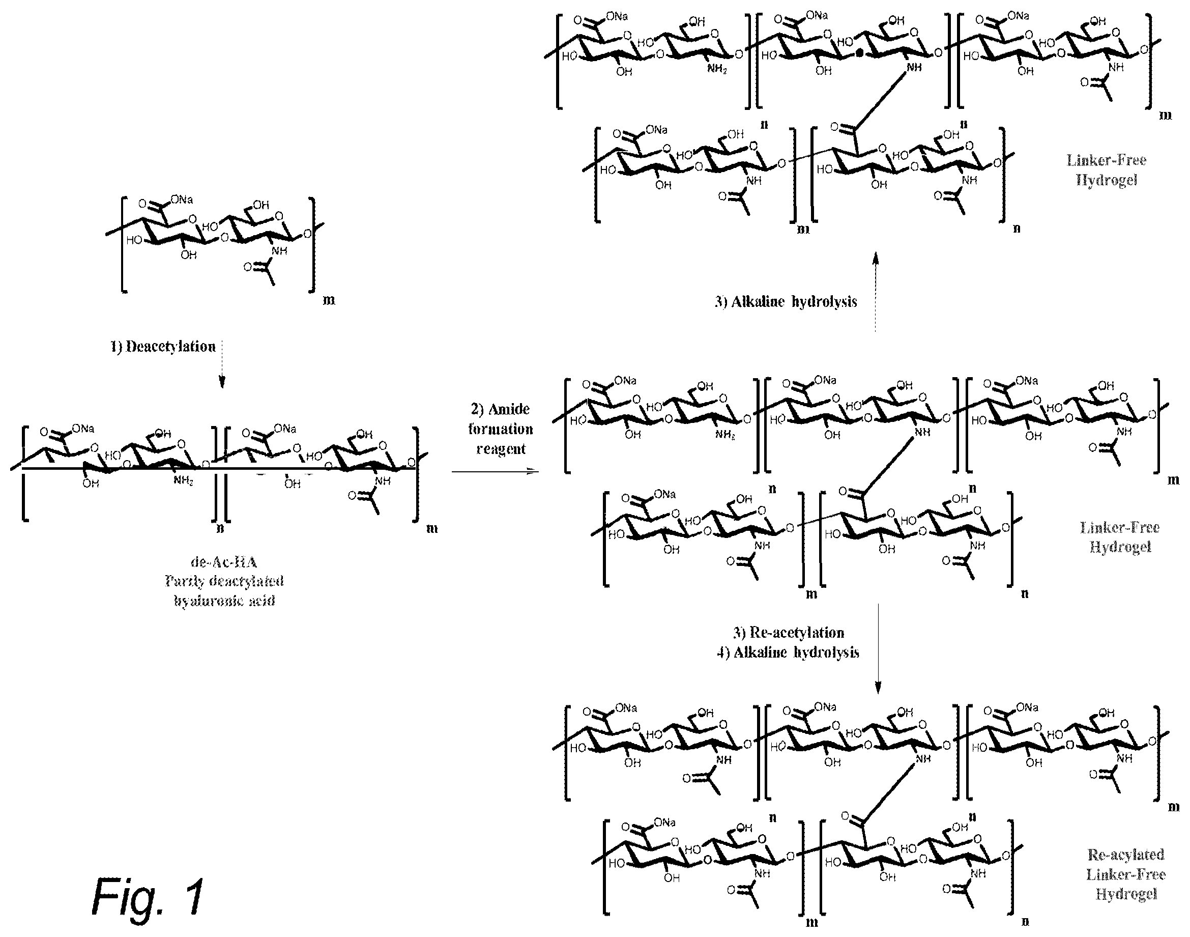 Patent US12365768 — Method for deacetylation of biopolymers — Figure 1