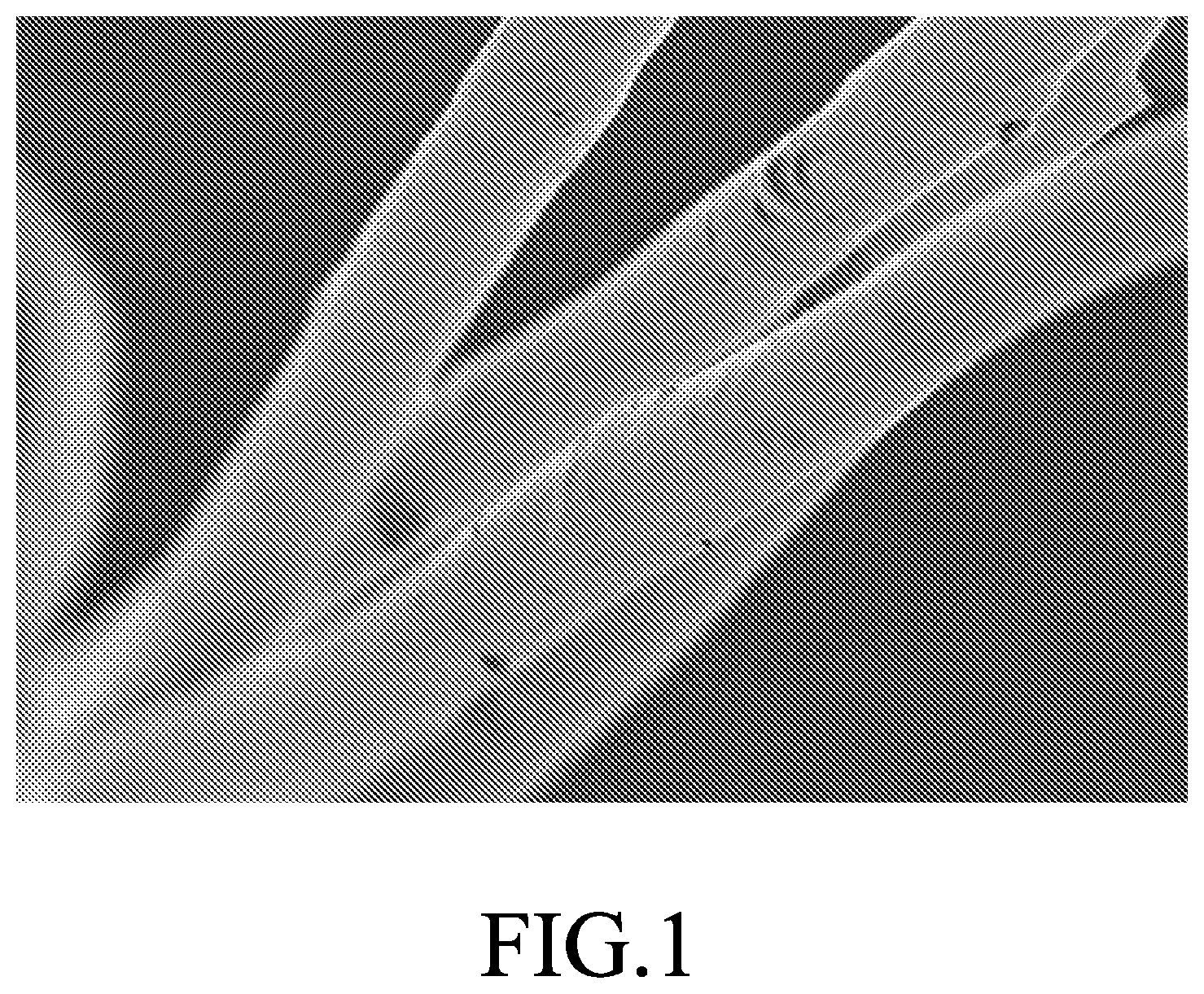 Patent US12365770 — Silica aerogel-containing polyester masterbatch, method for making the same and silica aerogel-containing polyester fiber made from the same — Figure 1