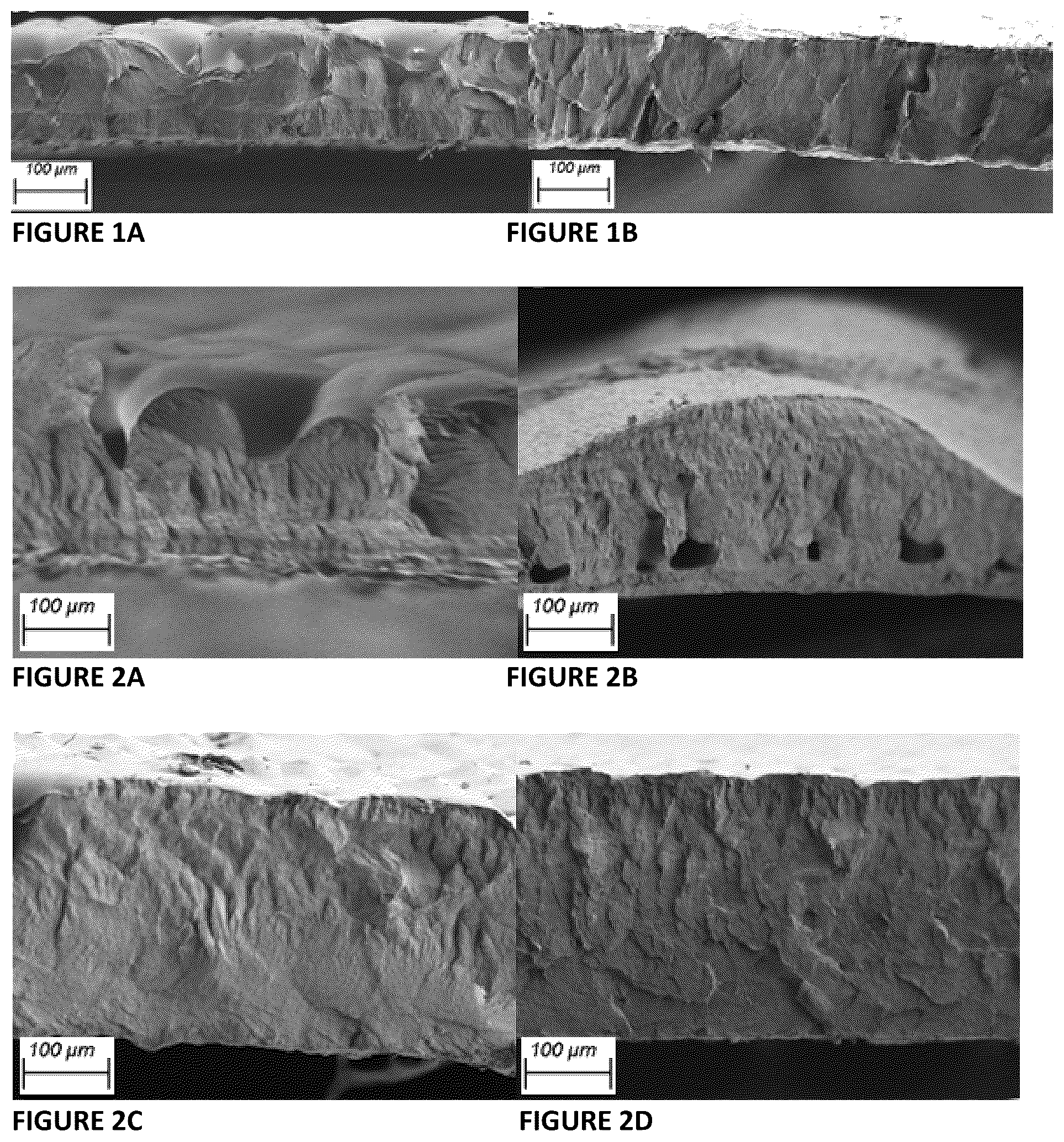 Patent US12365794 — Nanocomposites comprising biodegradable polymers and inorganic nanoparticles, methods of preparation and uses thereof — Figure 1