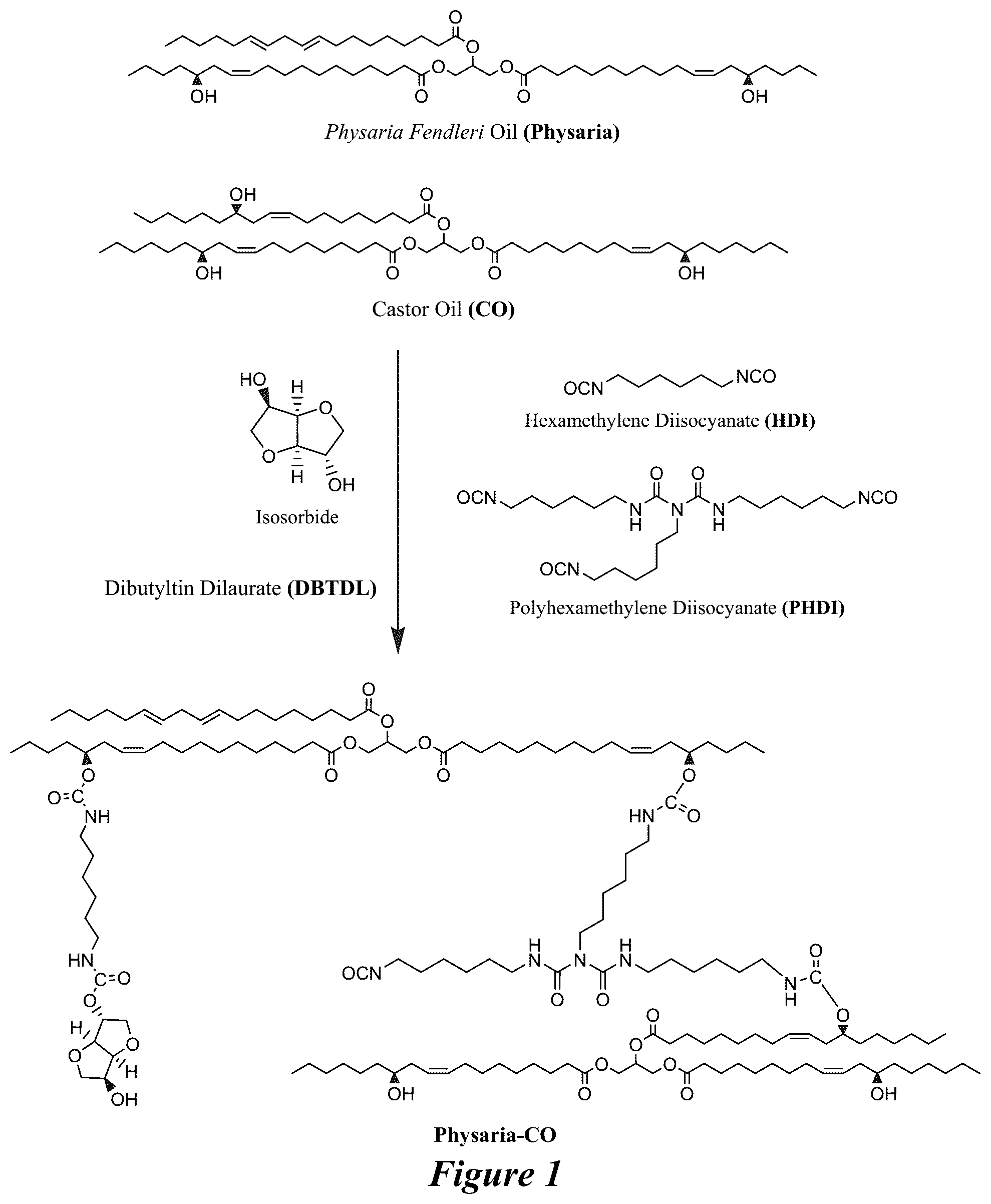 Patent US12365821 — Bio-based coatings and adhesives using oils of Physaria fendleri and Euphorbia Lagascae — Figure 1