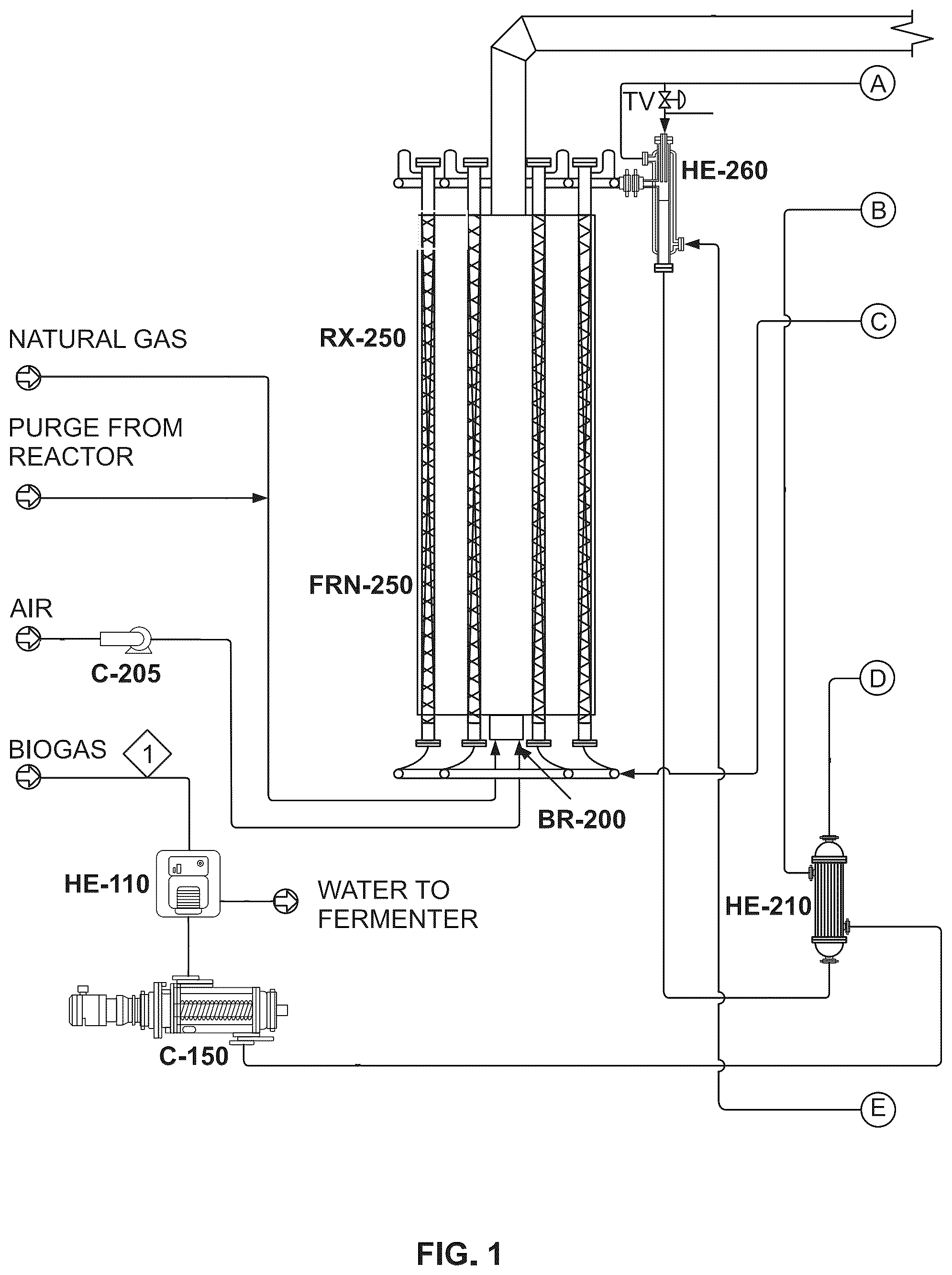 Patent US12365841 — Purification and processing of hydrocarbon products — Figure 1