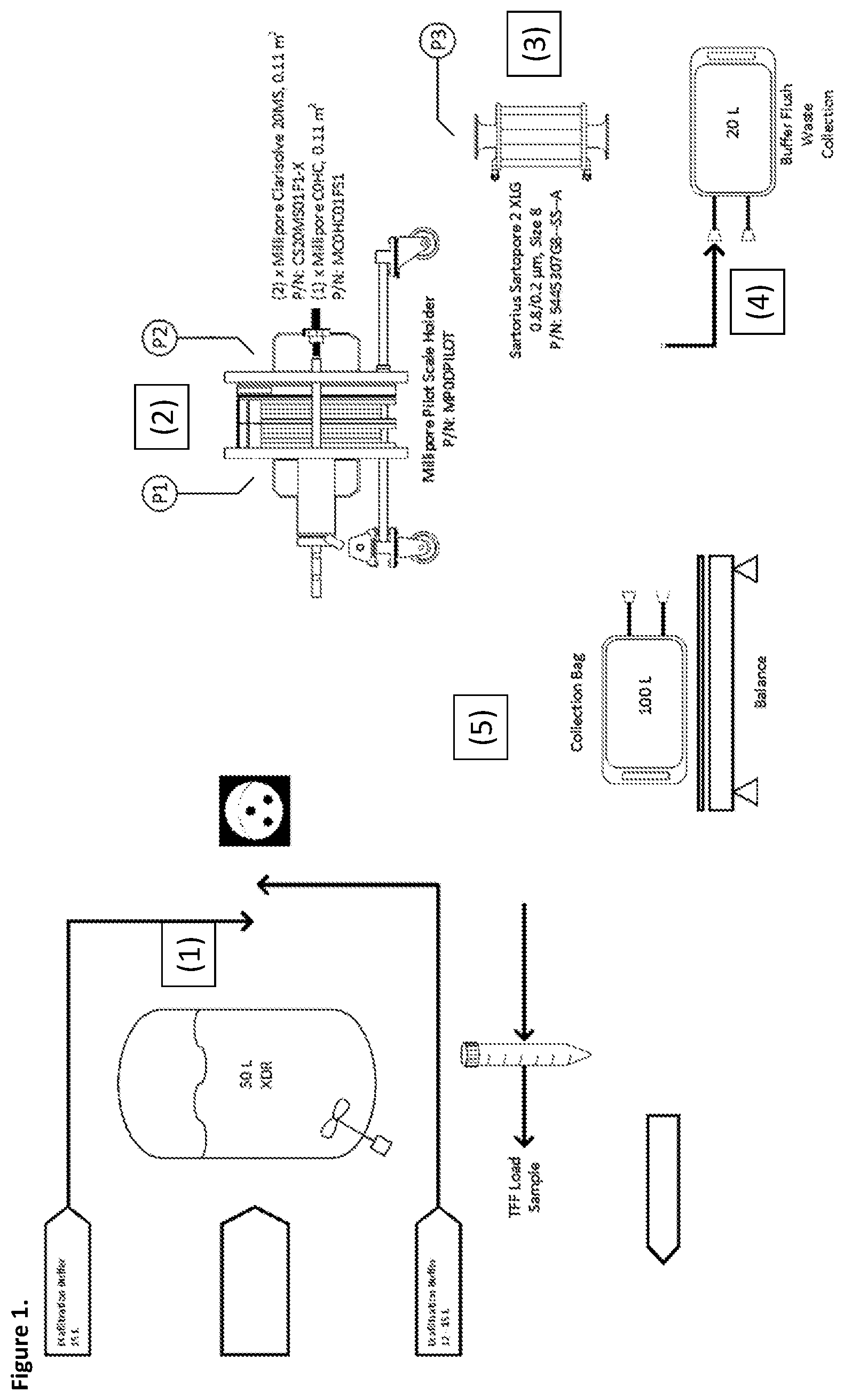Patent US12365865 — Scalable clarification process for recombinant AAV production — Figure 1