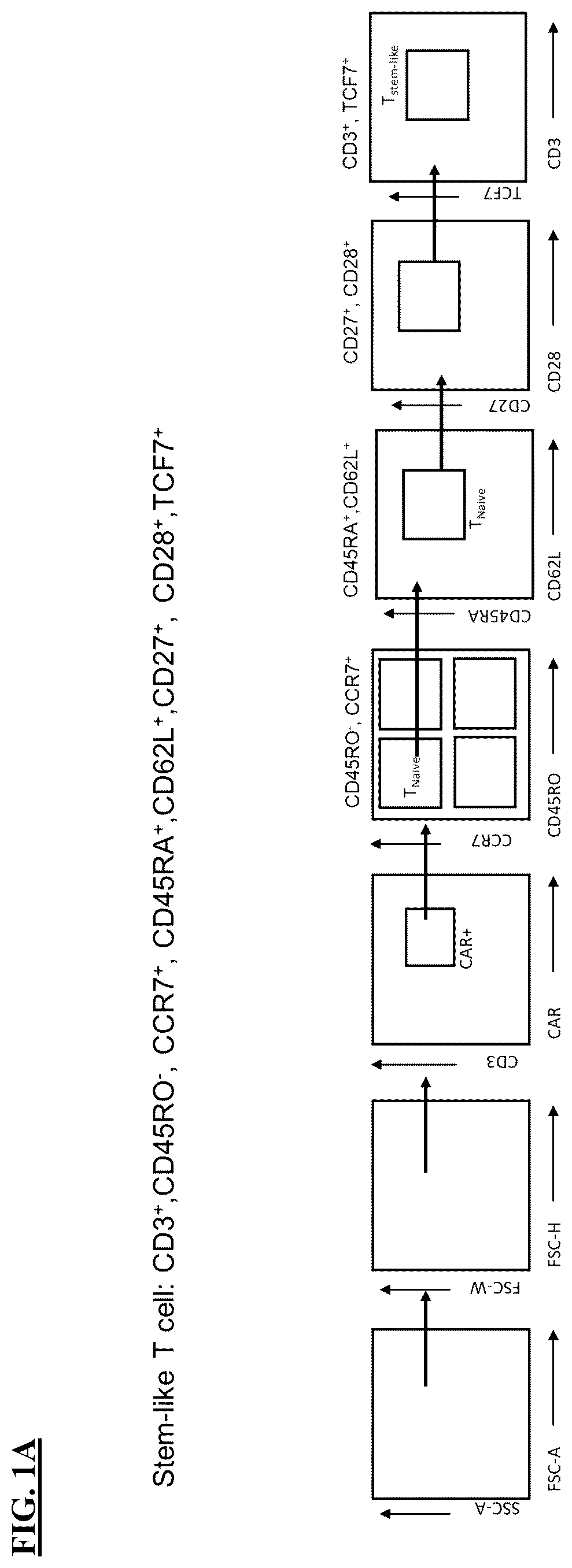 Patent US12365871 — Methods for culturing cells — Figure 1