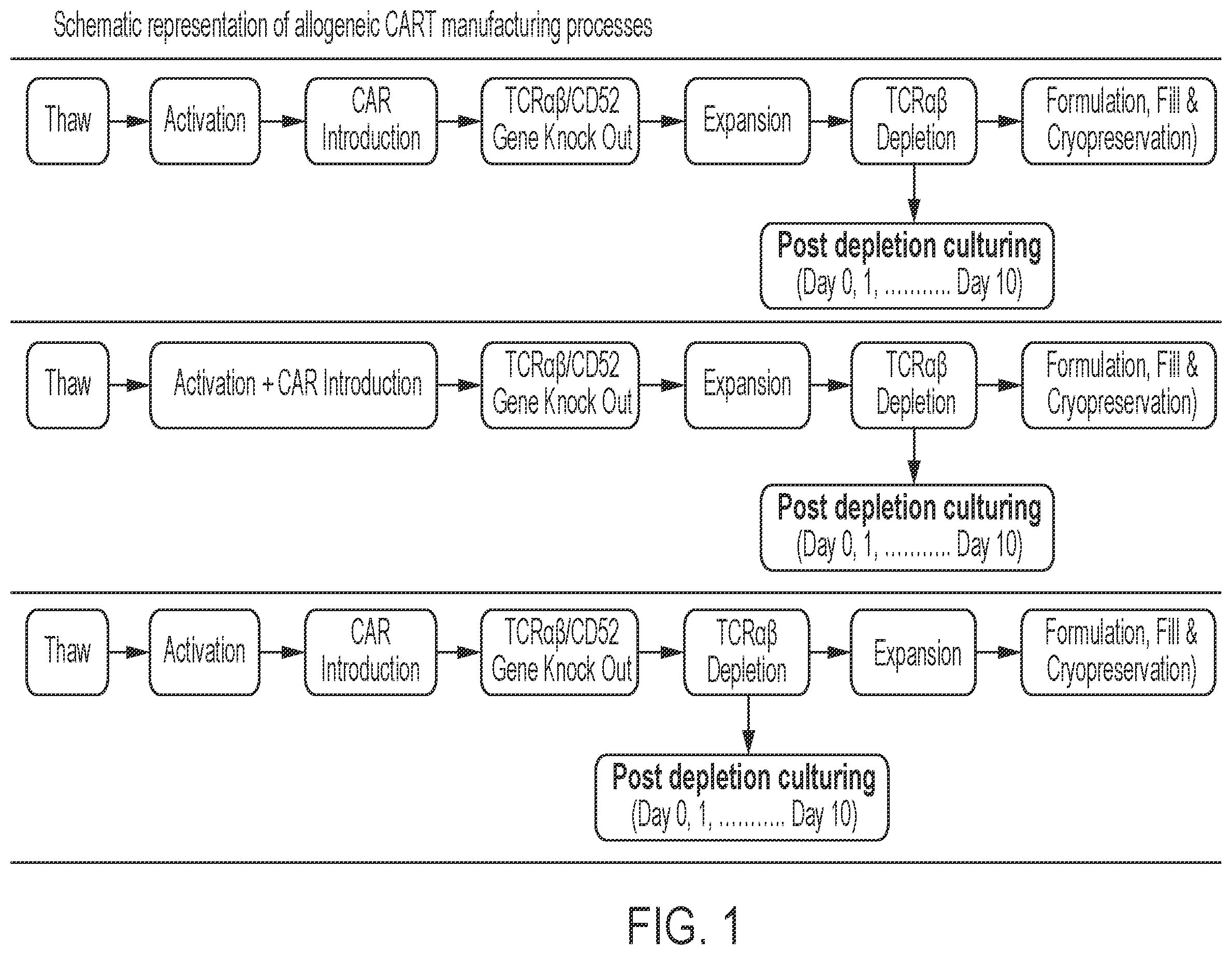 Patent US12365873 — Methods for transducing immune cells — Figure 1