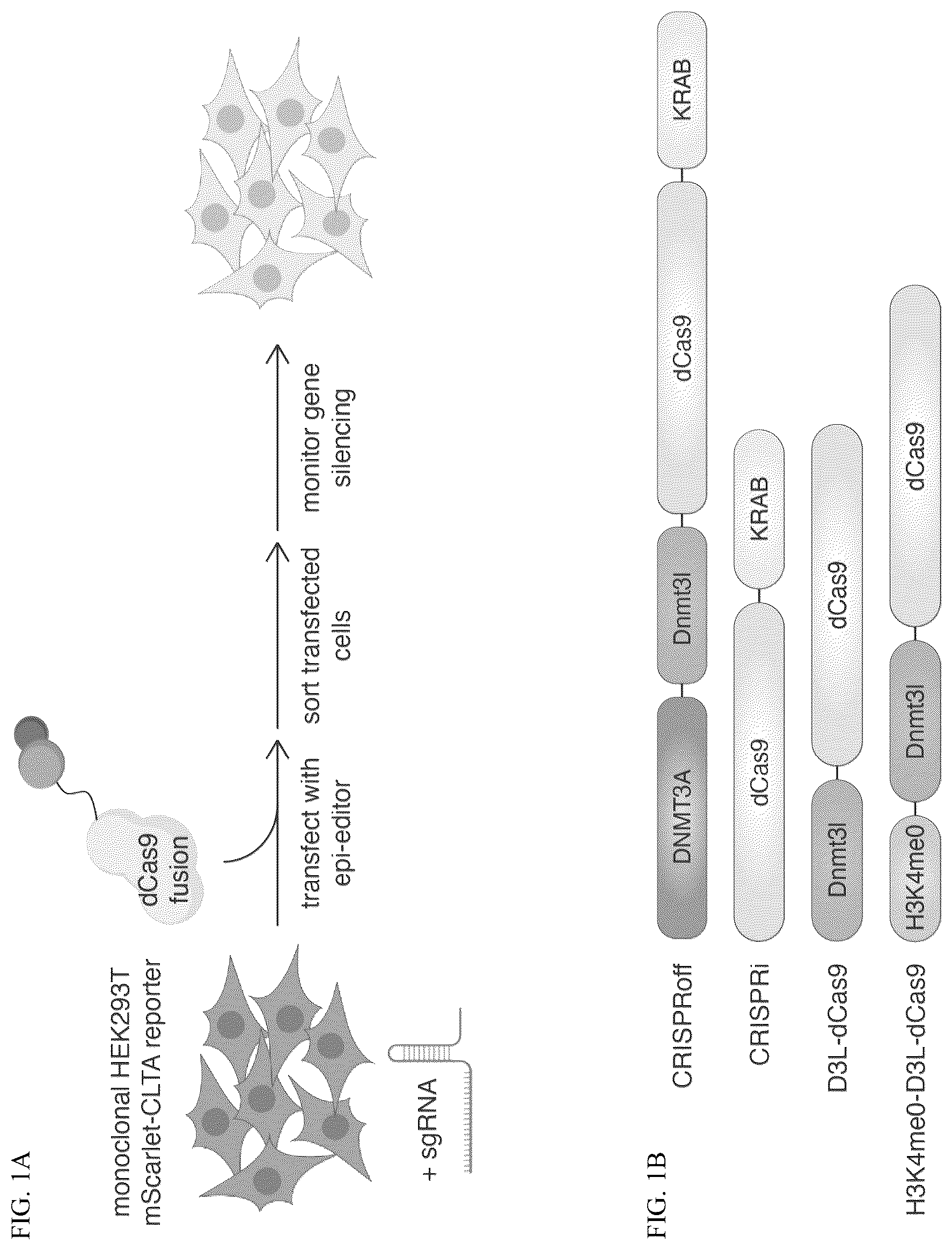Patent US12365884 — Compositions and methods for making epigenetic modifications — Figure 1