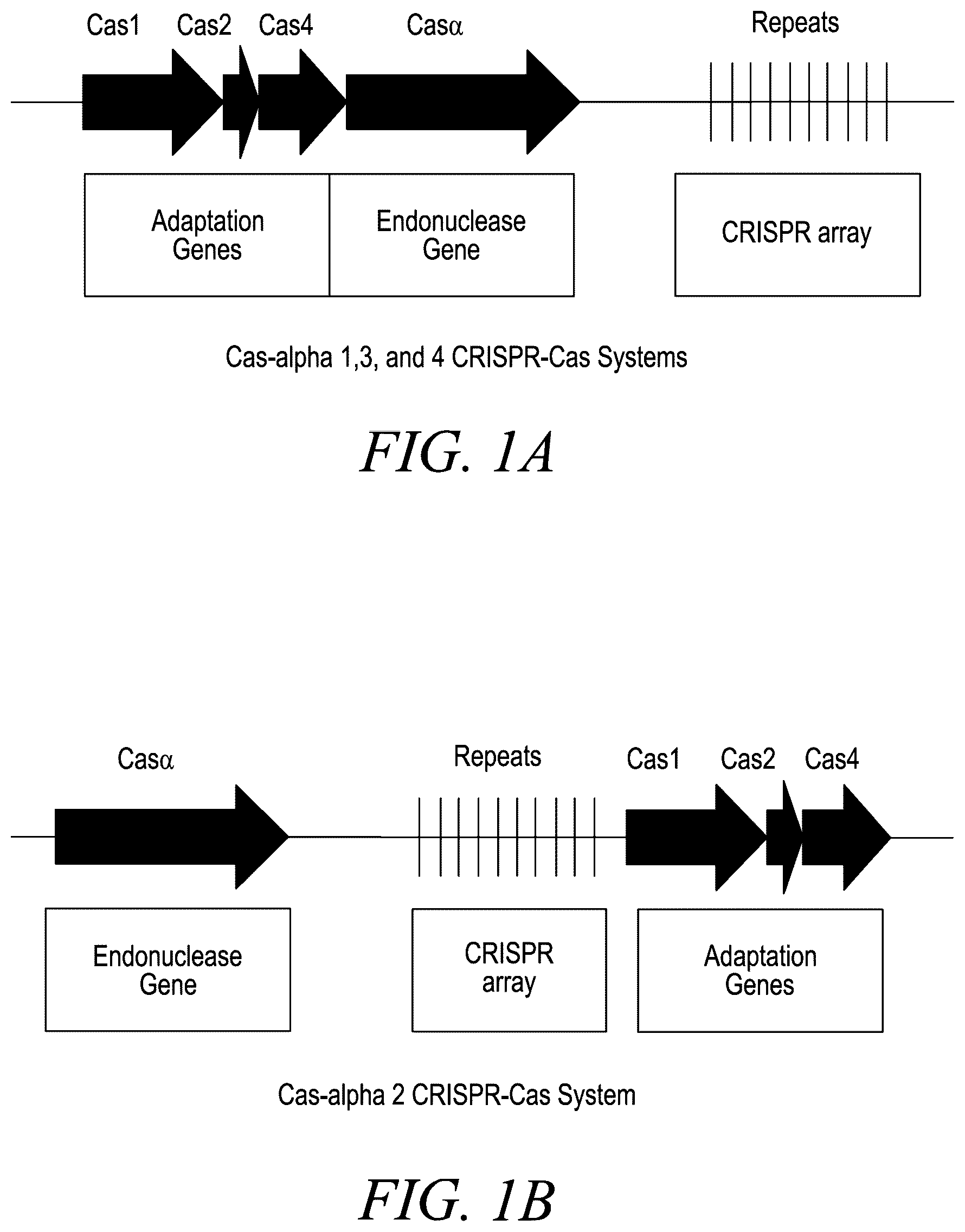 Patent US12365888 — CRISPR-Cas systems for genome editing — Figure 1