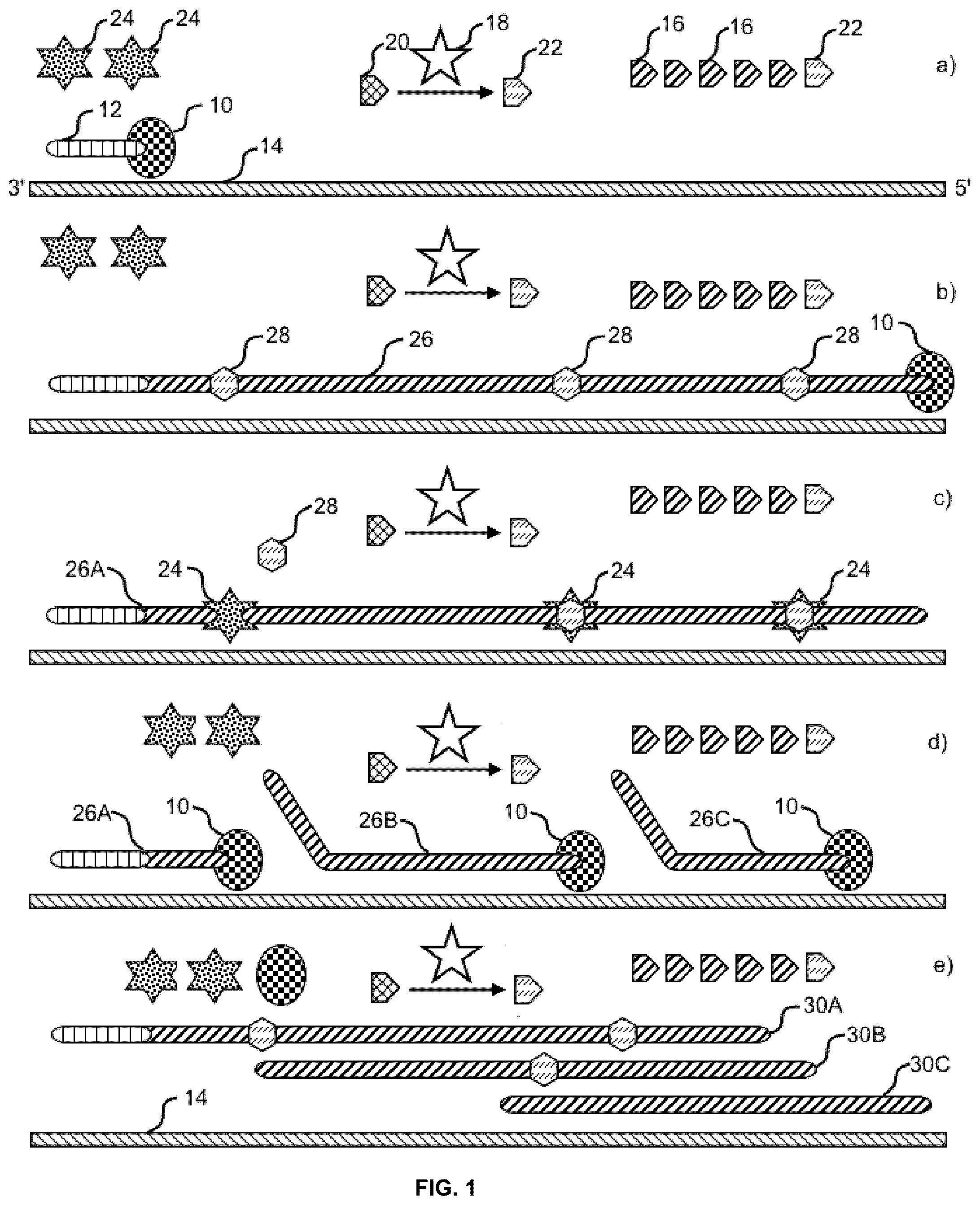 Patent US12365893 — Systems and methods for nucleic acid preparation — Figure 1