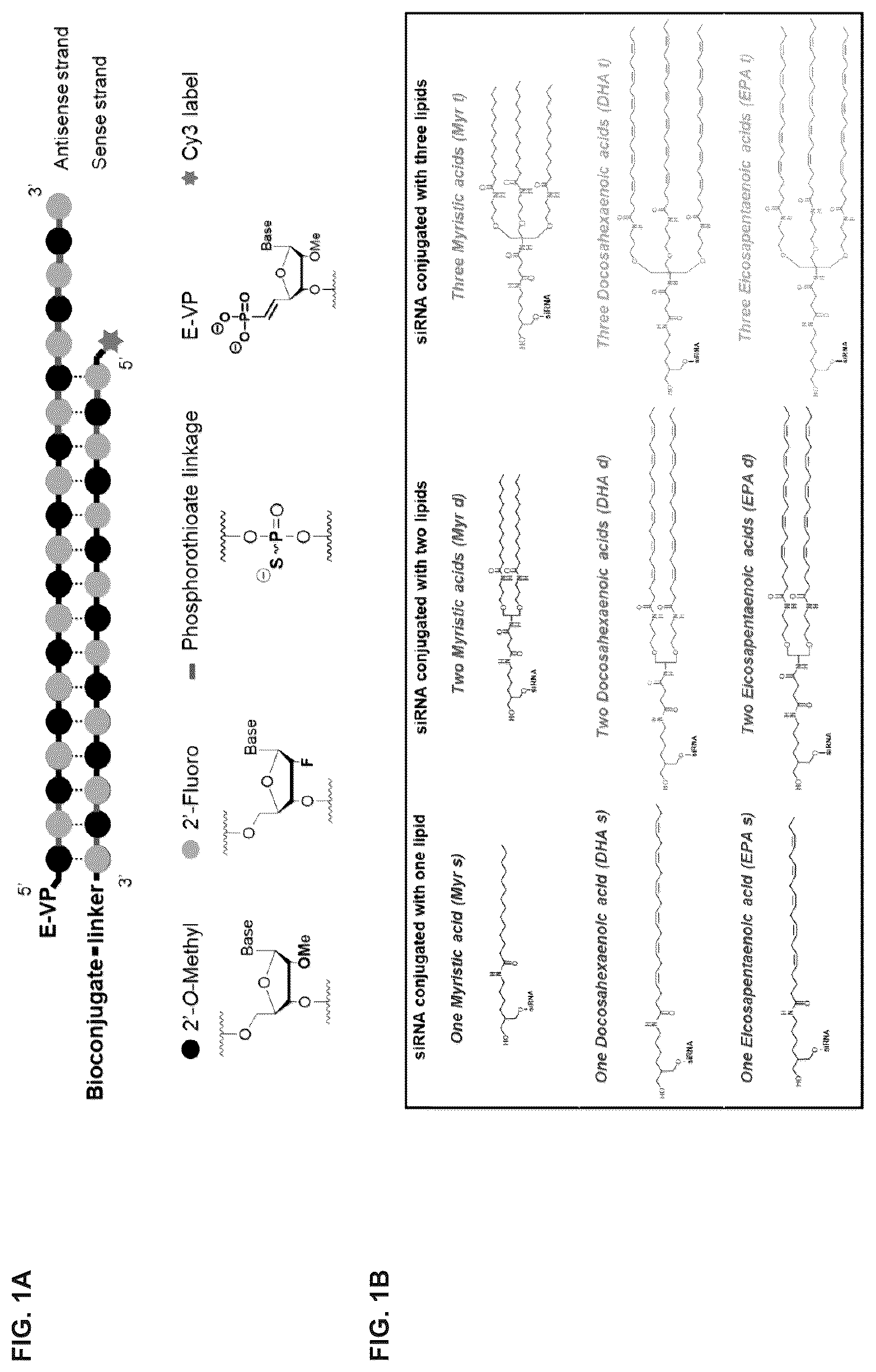Patent US12365894 — Branched lipid conjugates of siRNA for specific tissue delivery — Figure 1