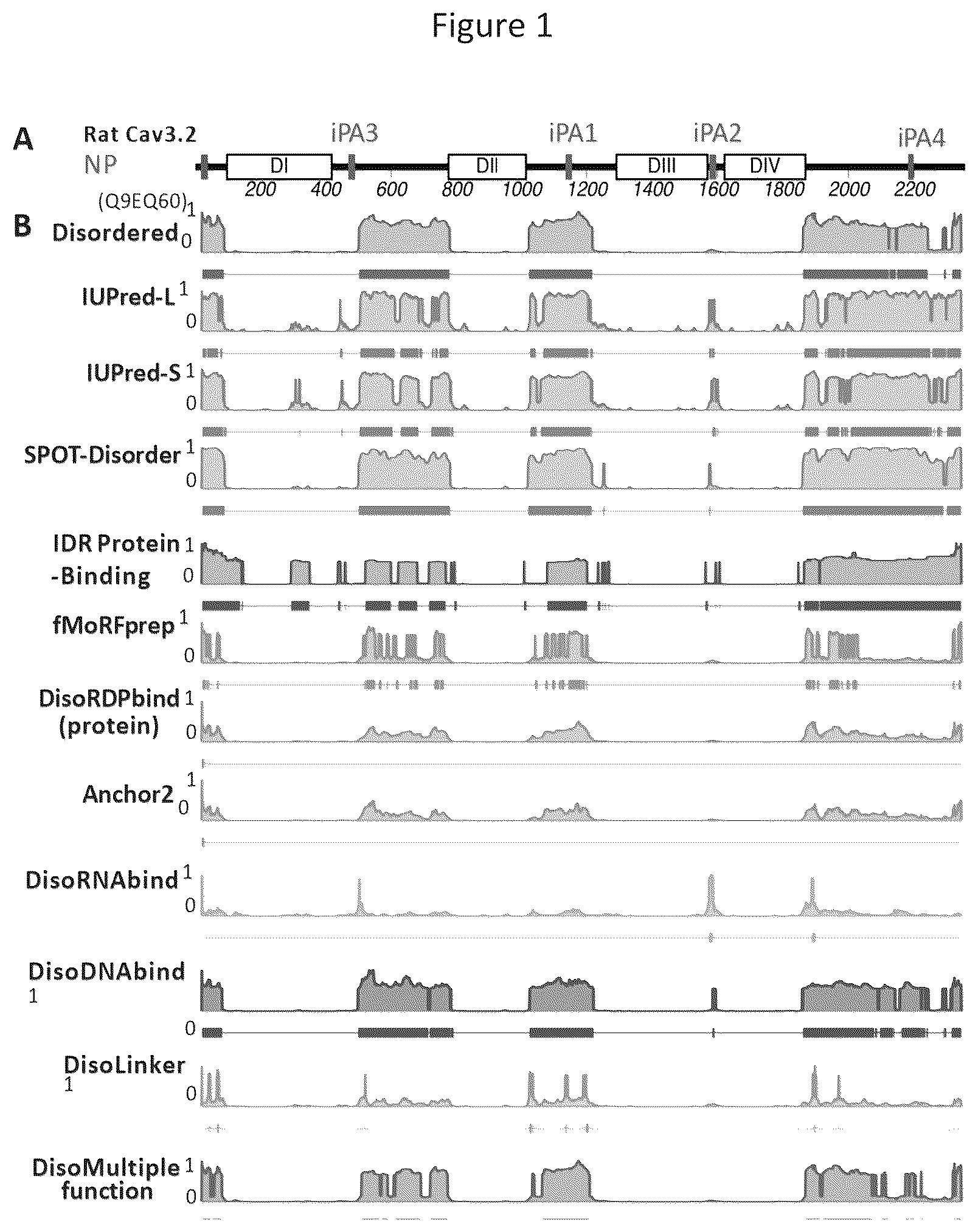 Patent US12365898 Figure 1 – Calcium channel 3.2 inhibitory peptides and uses thereof