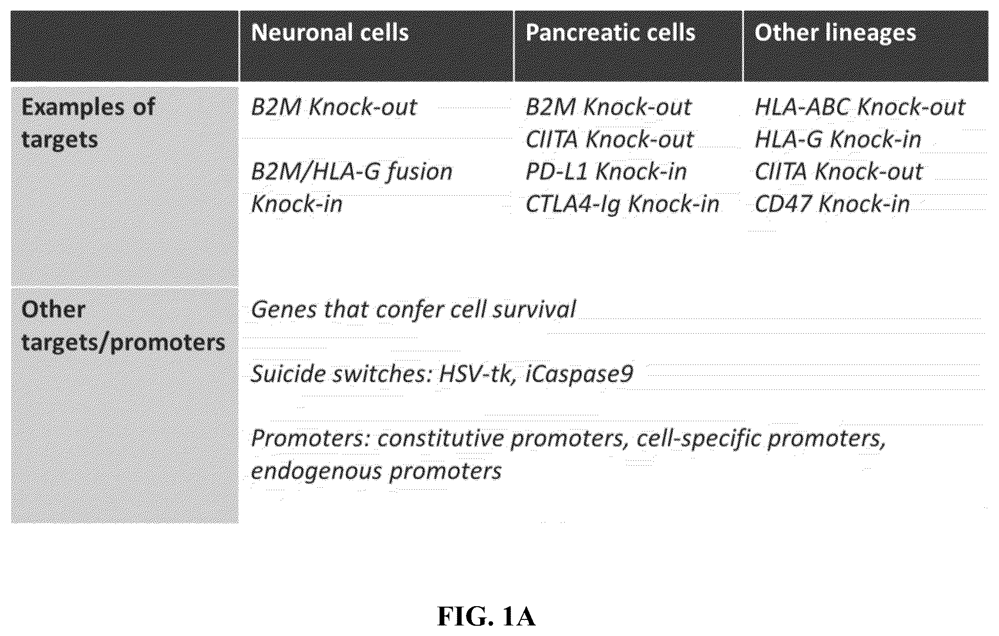 Patent US12365915 Figure 1 – Universal donor cells
