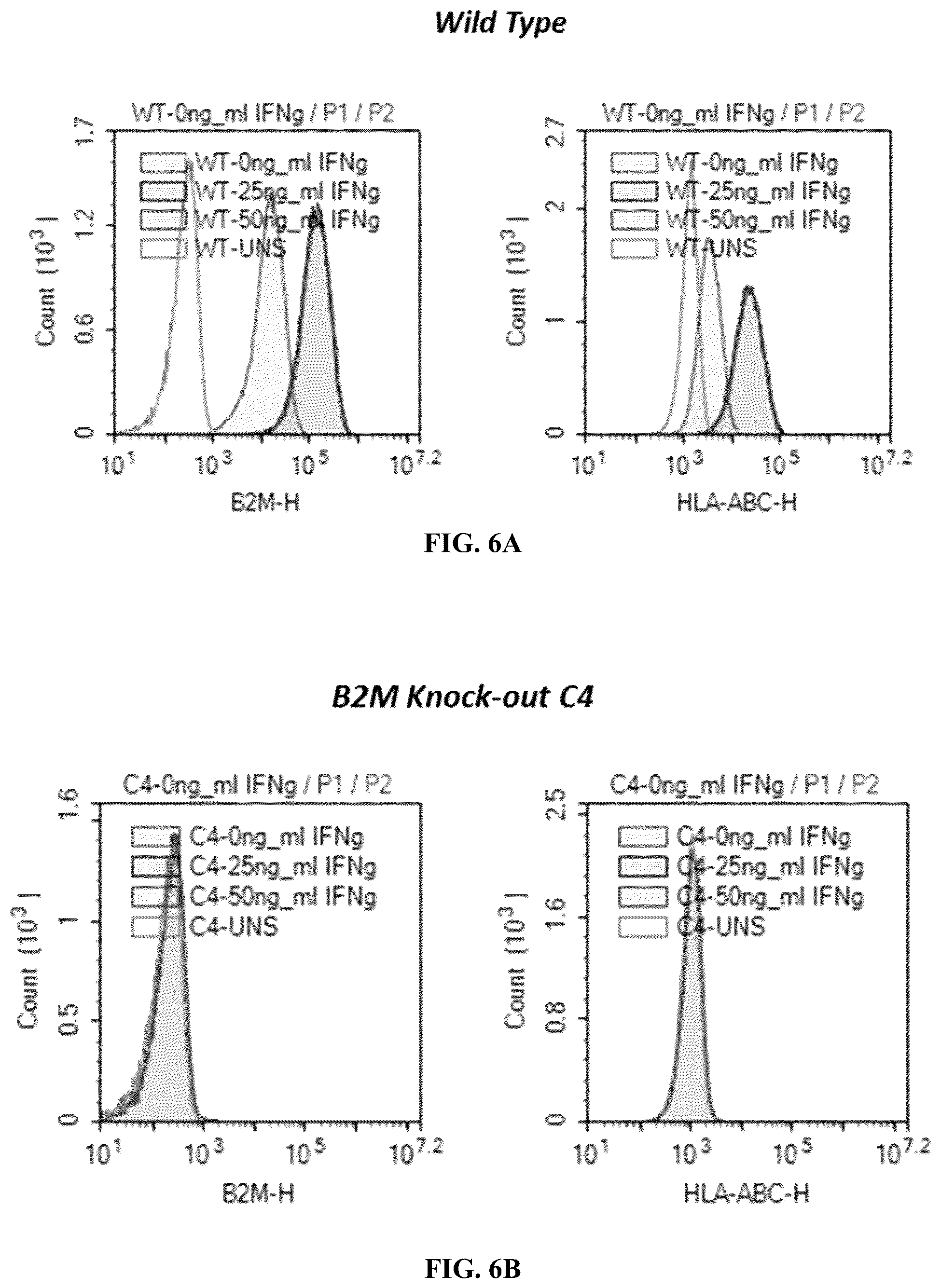 Patent US12365915 Figure 7 – Universal donor cells