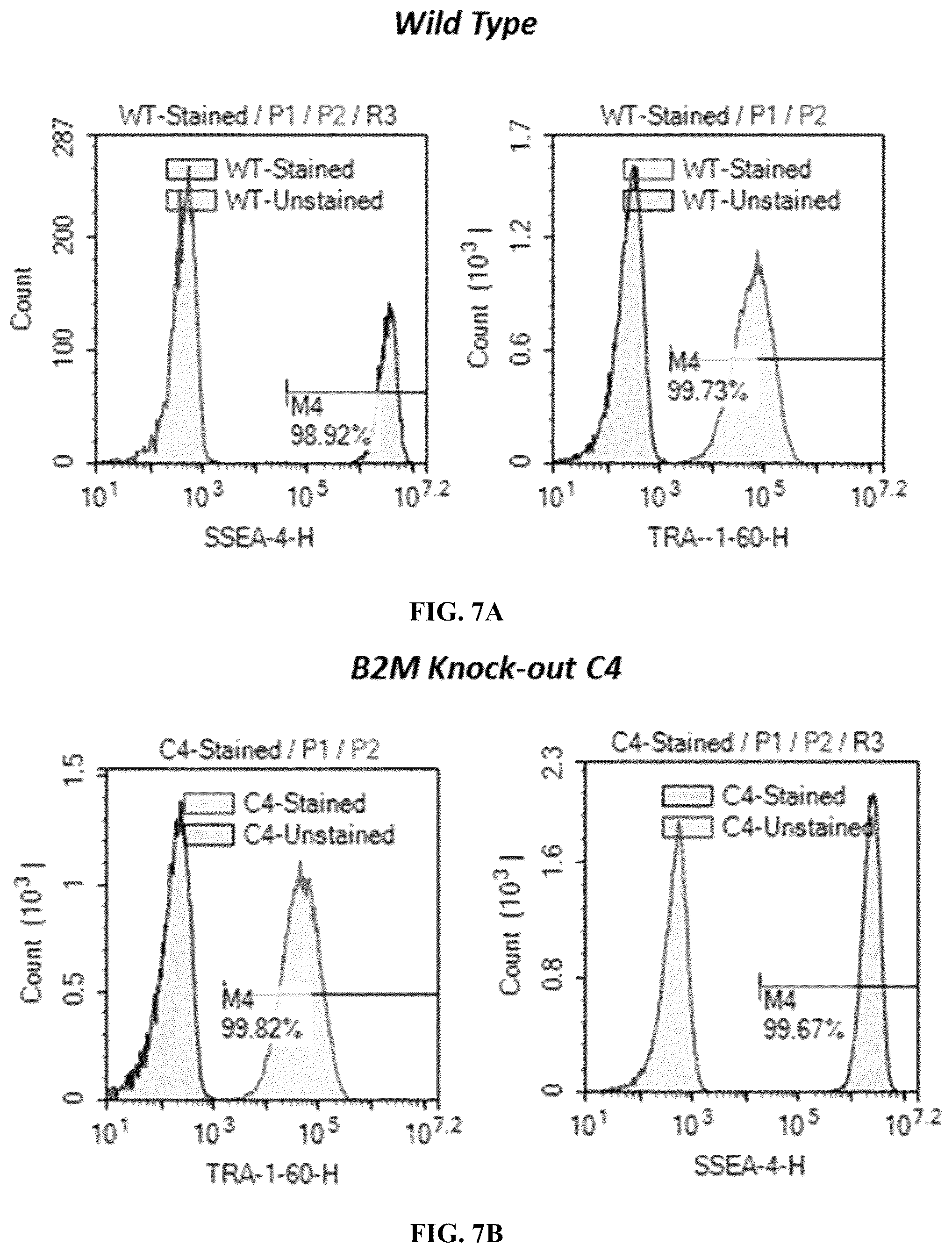 Patent US12365915 Figure 9 – Universal donor cells