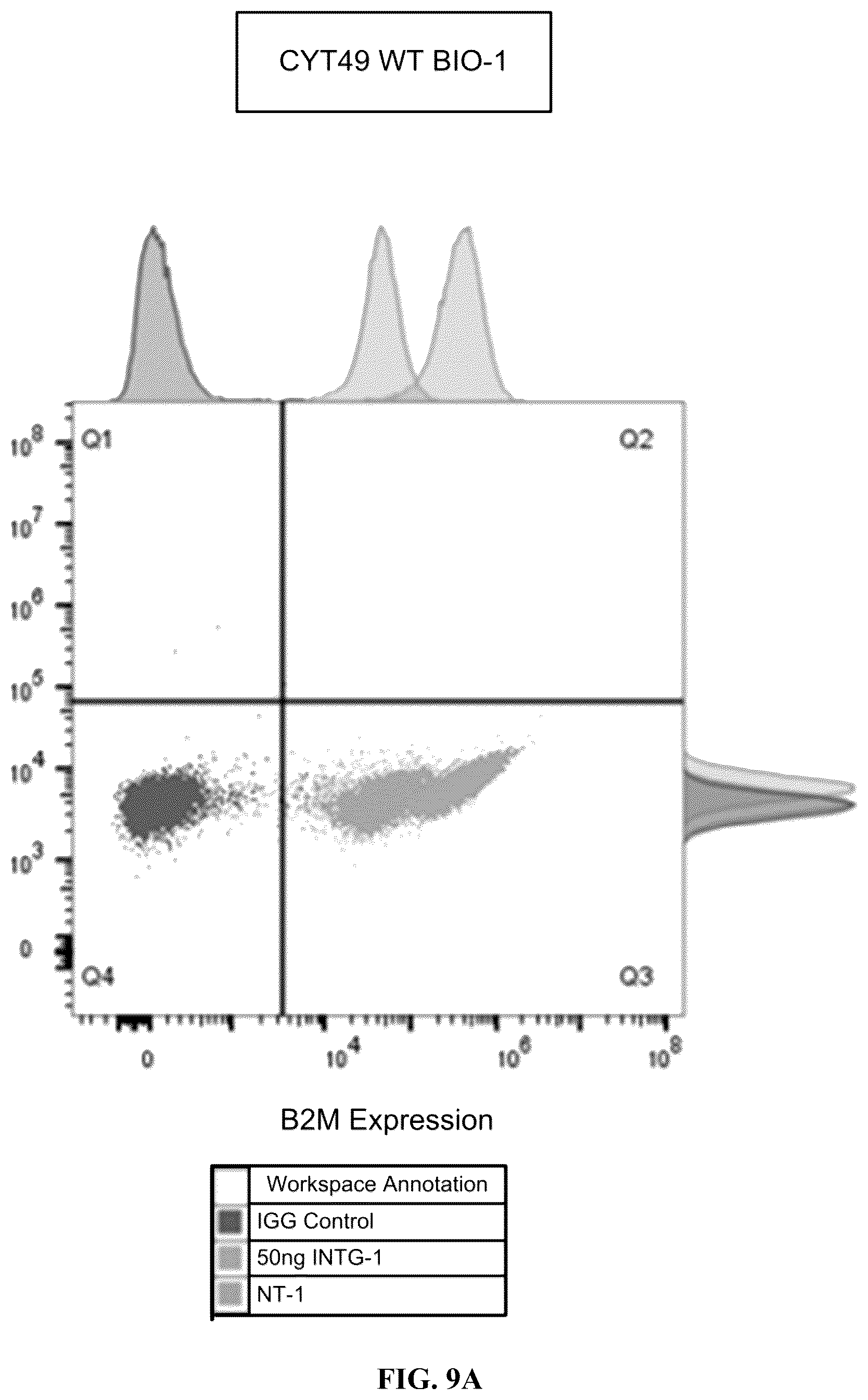 Patent US12365915 Figure 12 – Universal donor cells