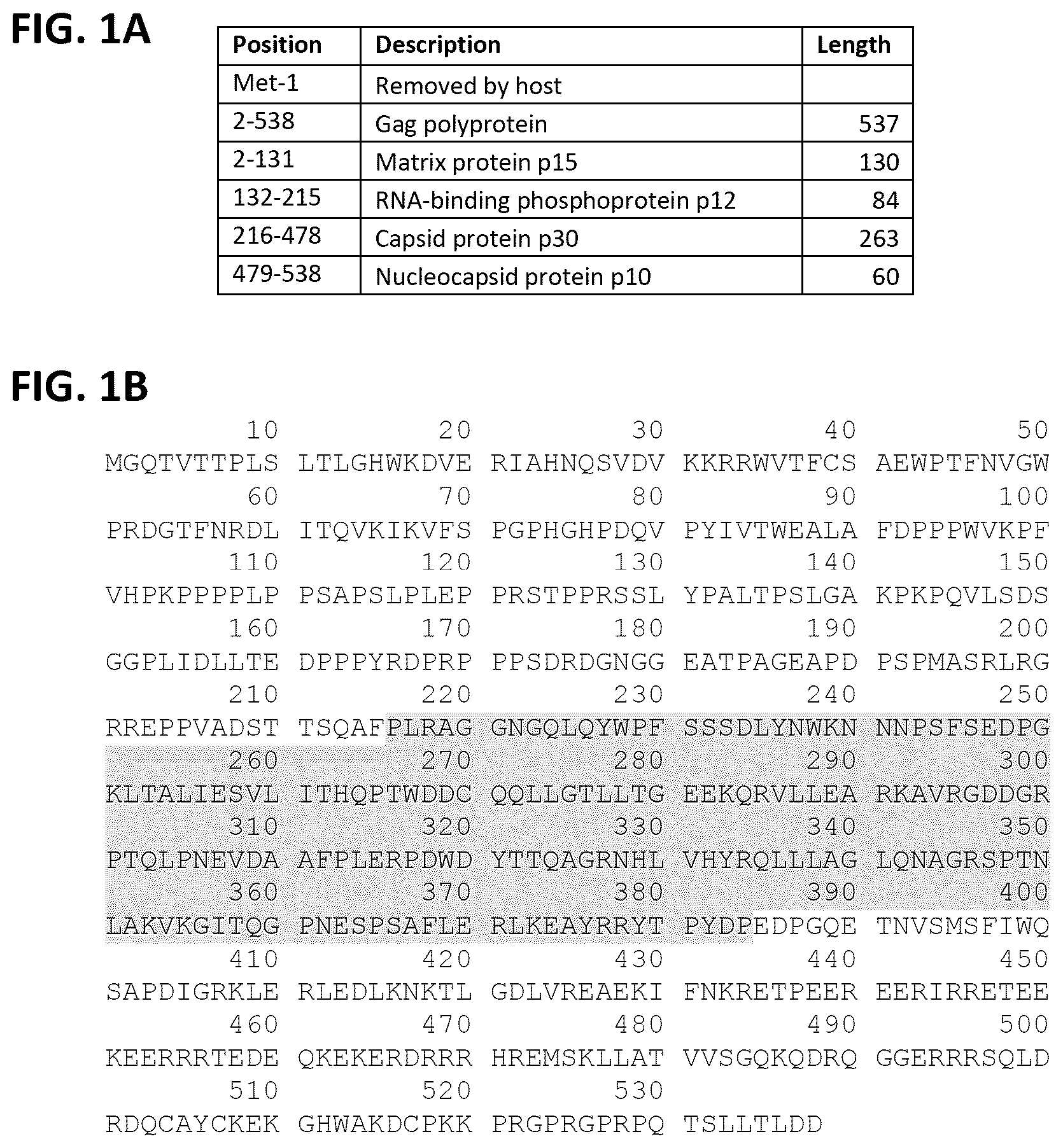 Patent US12365917 — Immortalization of splenic and peripheral blood macrophages using a multi-cistronic v-raf/v-myc lentivirus — Figure 1