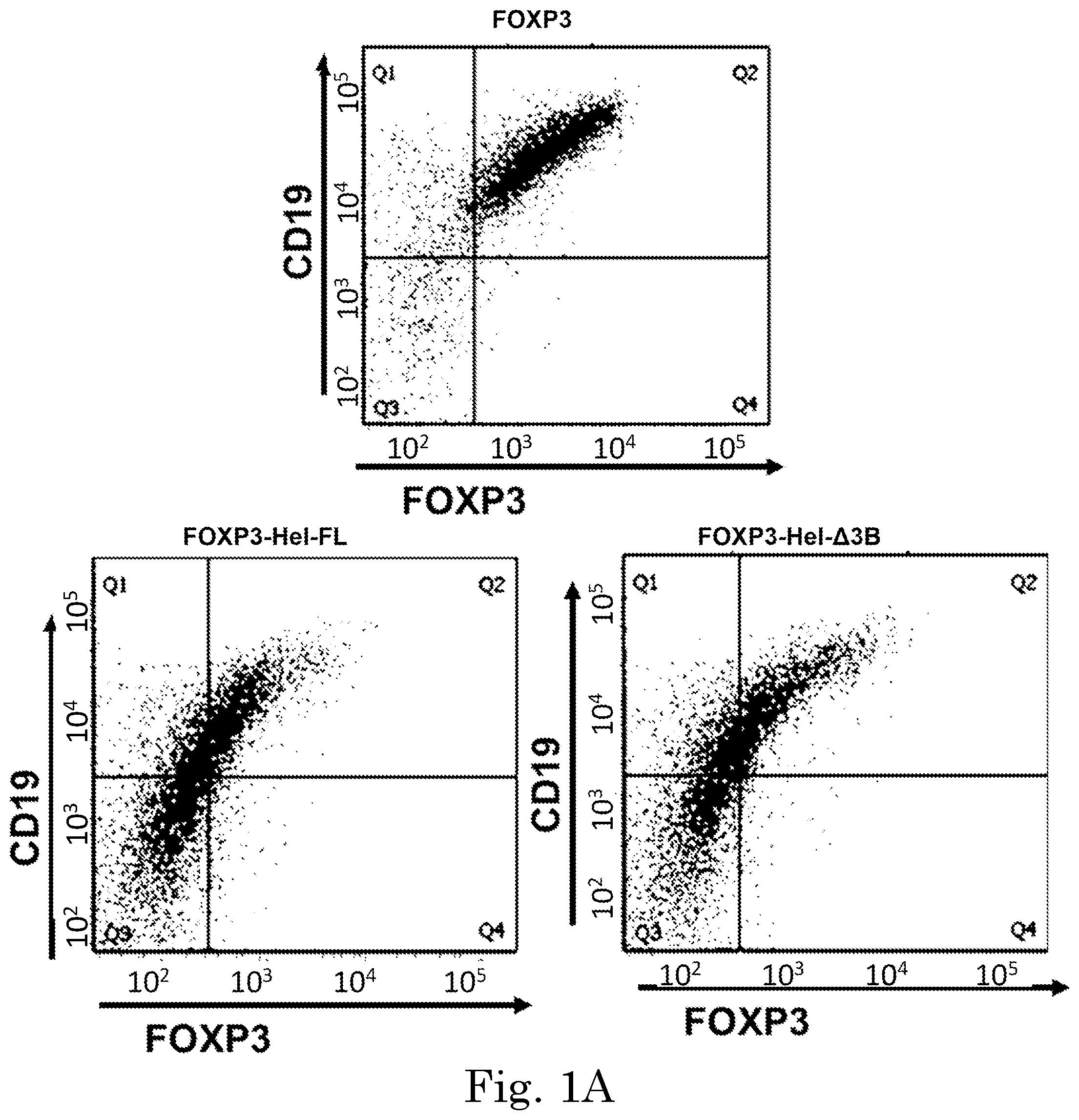 Patent US12365918 Figure 1 – Engineered regulatory T cells