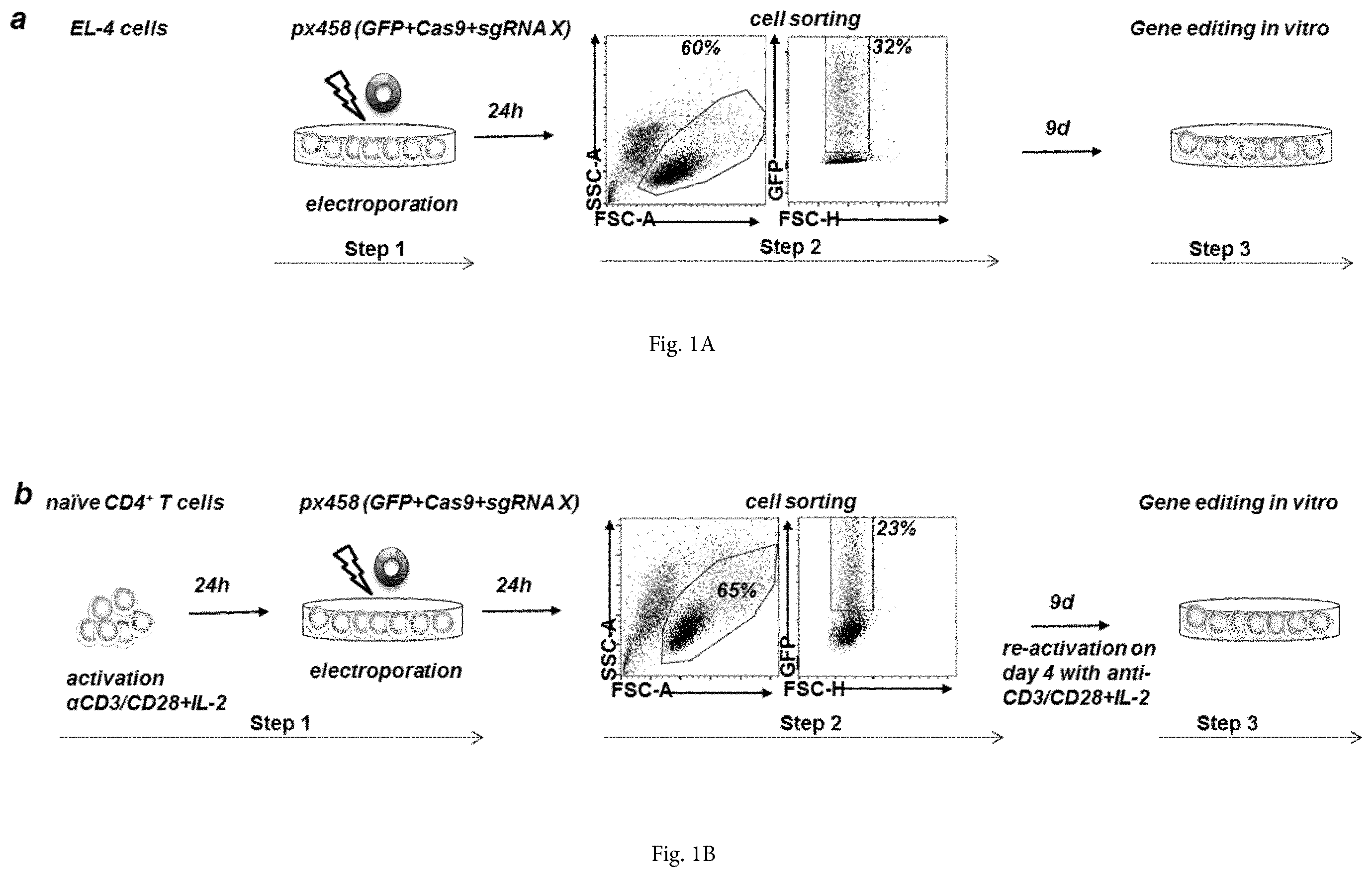 Patent US12365922 — Allele editing and applications thereof — Figure 1