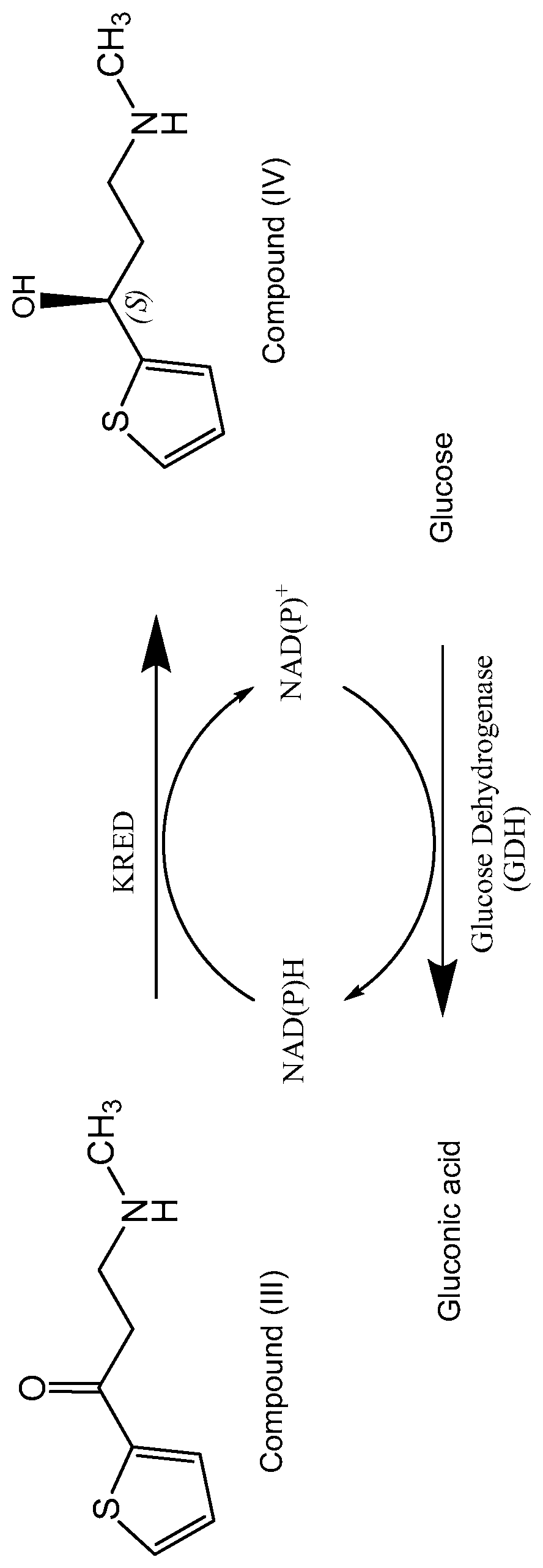 Patent US12365927 — Engineered ketoreductase polypeptides — Figure 1