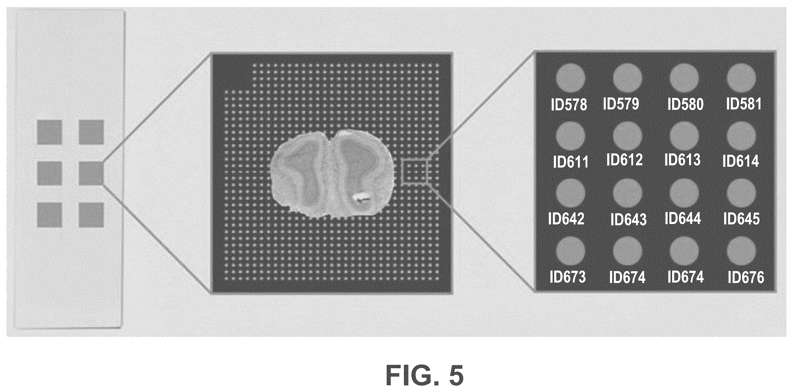 Patent US12365935 Figure 5 – Methods for increasing resolution of spatial analysis