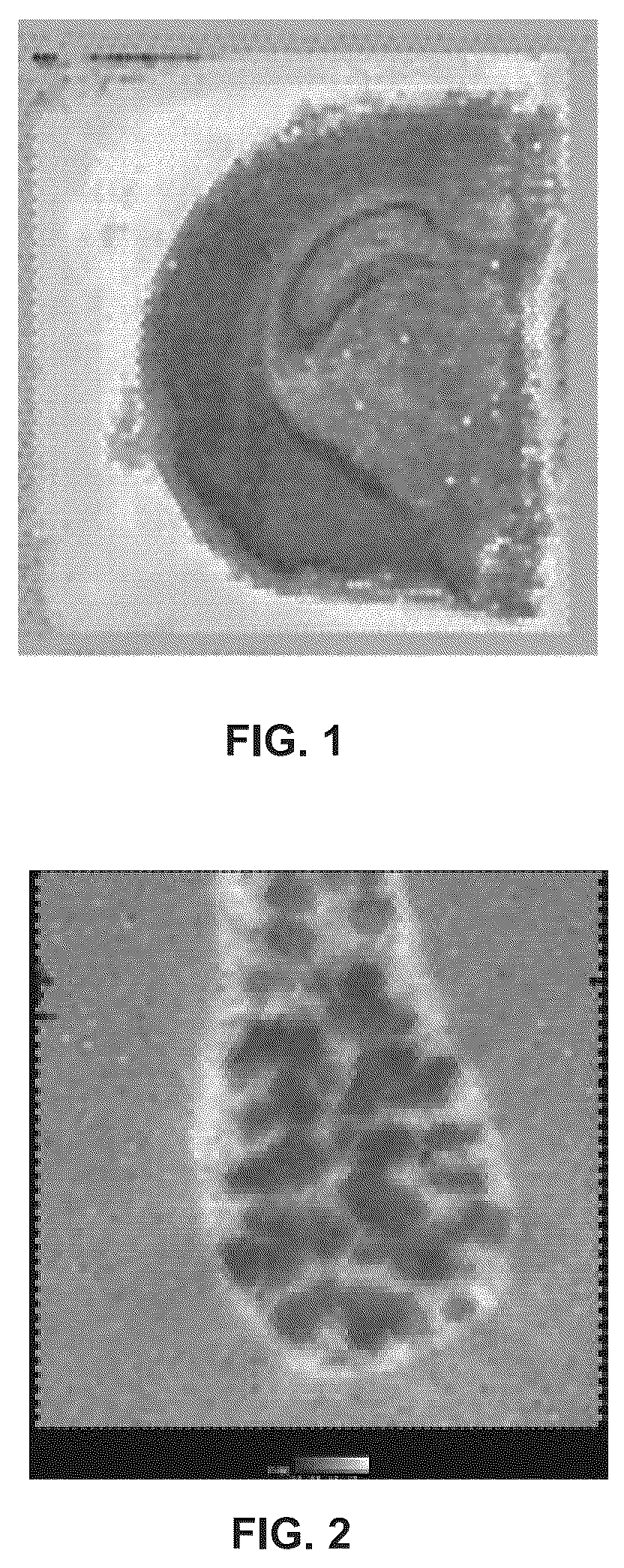 Patent US12365942 Figure 1 – Methods of decreasing background on a spatial array