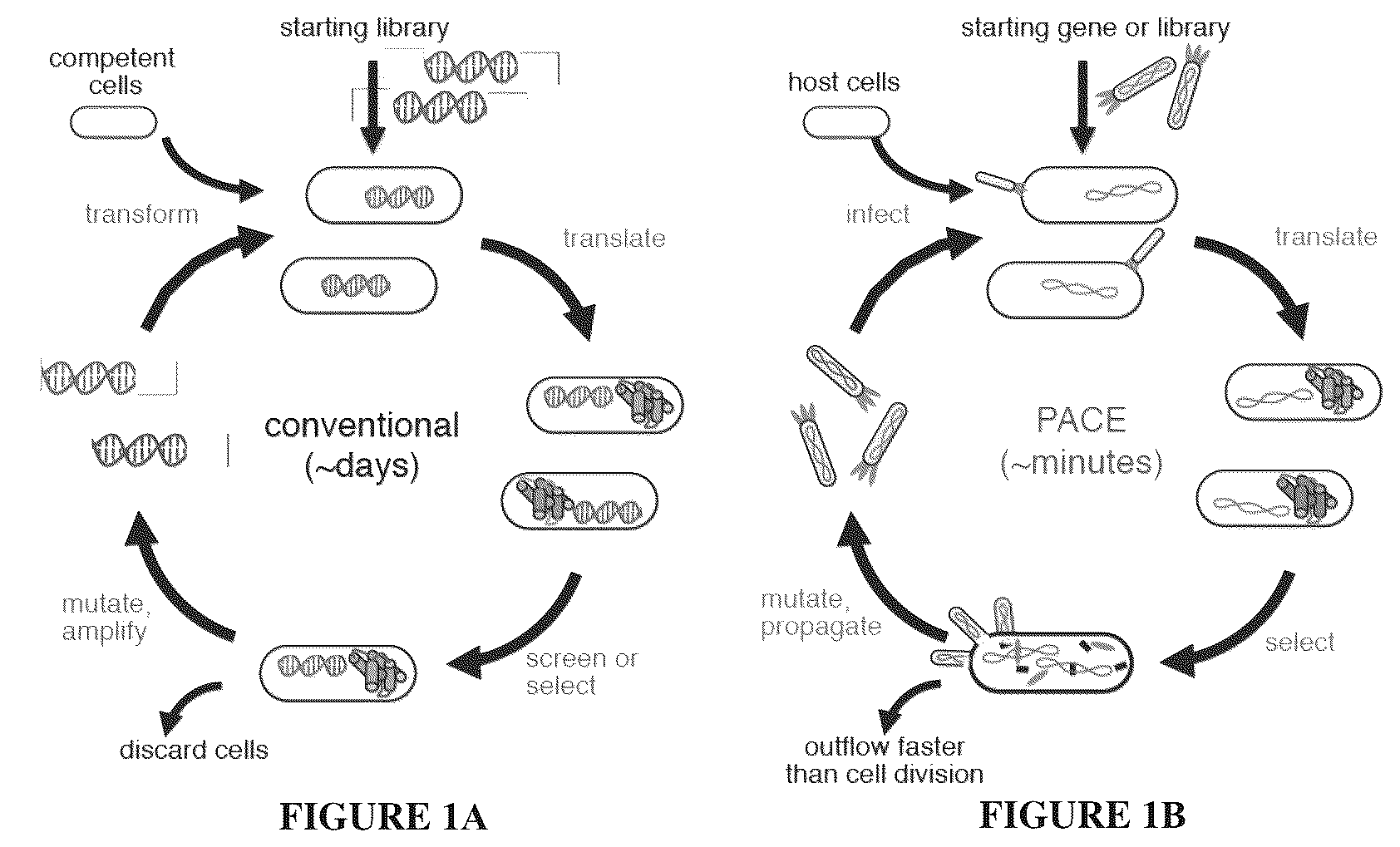 Patent US12366009 — Continuous directed evolution — Figure 1