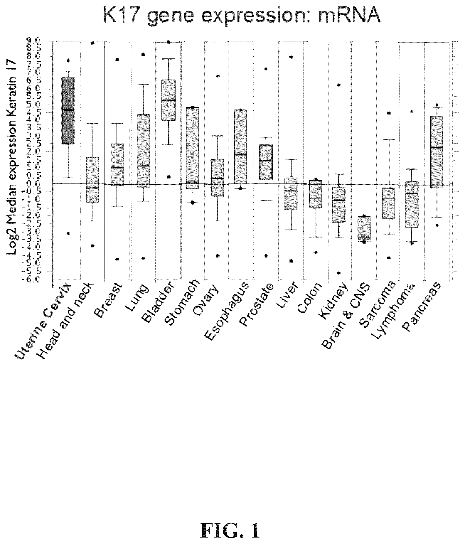 Patent US12366574 Figure 1 – Keratin 17 as a biomarker for bladder cancer