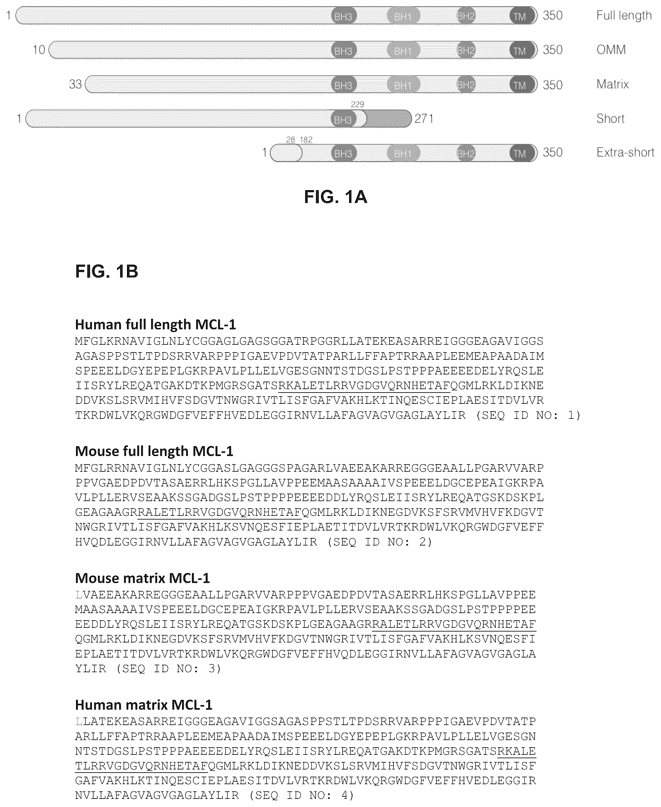 Patent US12366576 — Compositions, assays, and methods for direct modulation of fatty acid metabolism — Figure 1