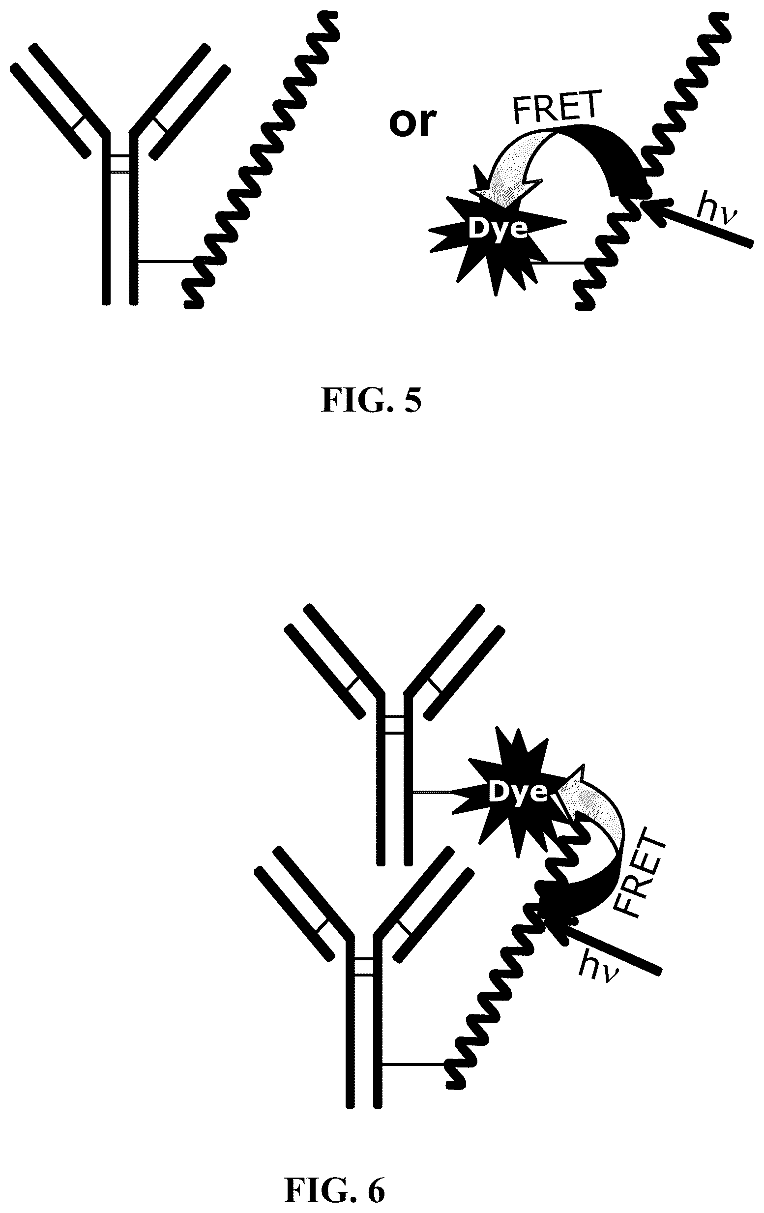 Patent US12366577 Figure 3 – Fluorescent methods and materials for directed biomarker signal amplification