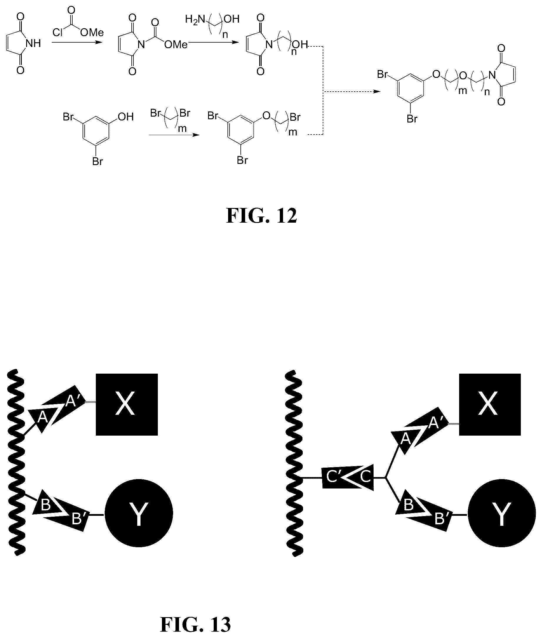 Patent US12366578 Figure 6 – Fluorescent methods and materials for directed biomarker signal amplification