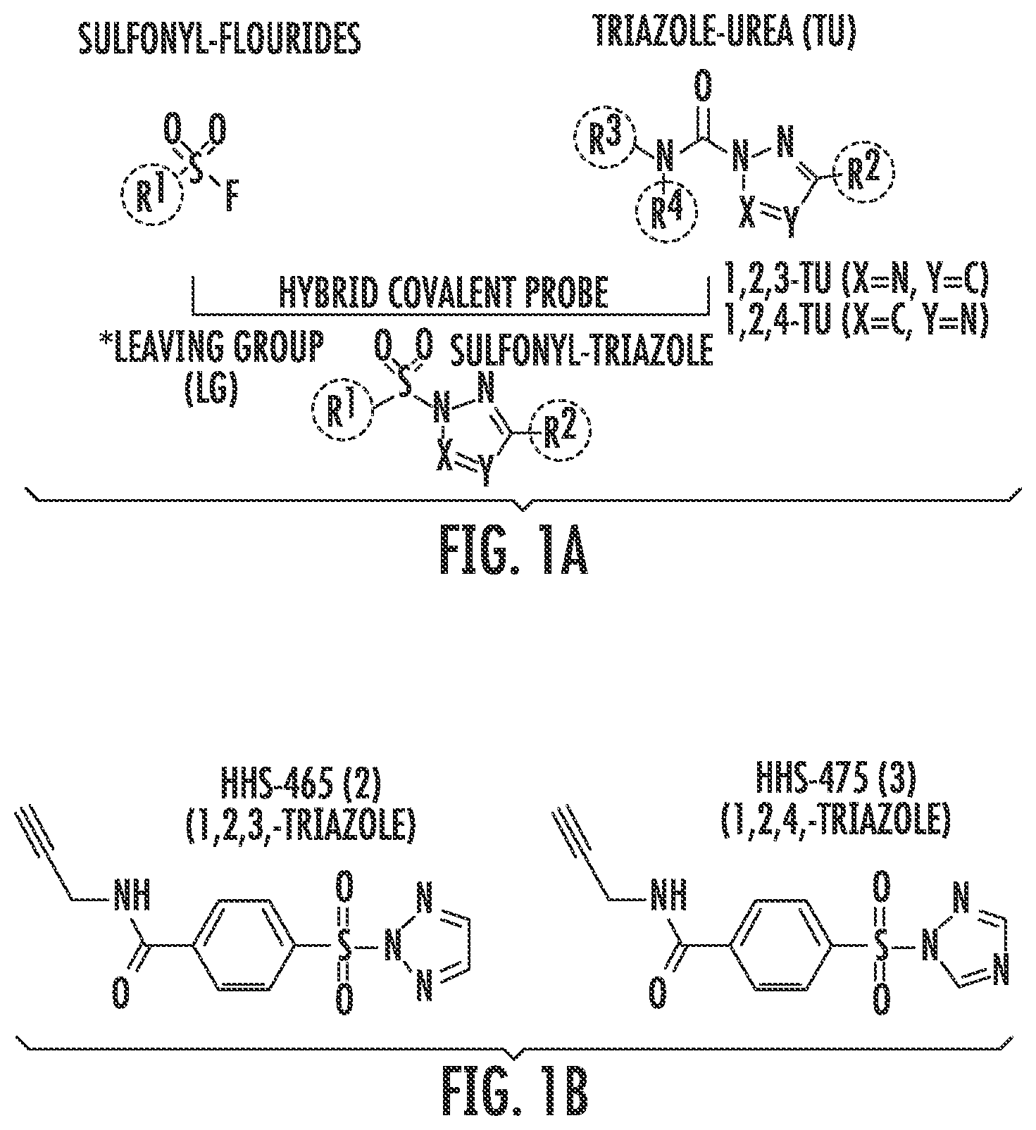 Patent US12366579 — Sulfur-heterocycle exchange chemistry and uses thereof — Figure 1