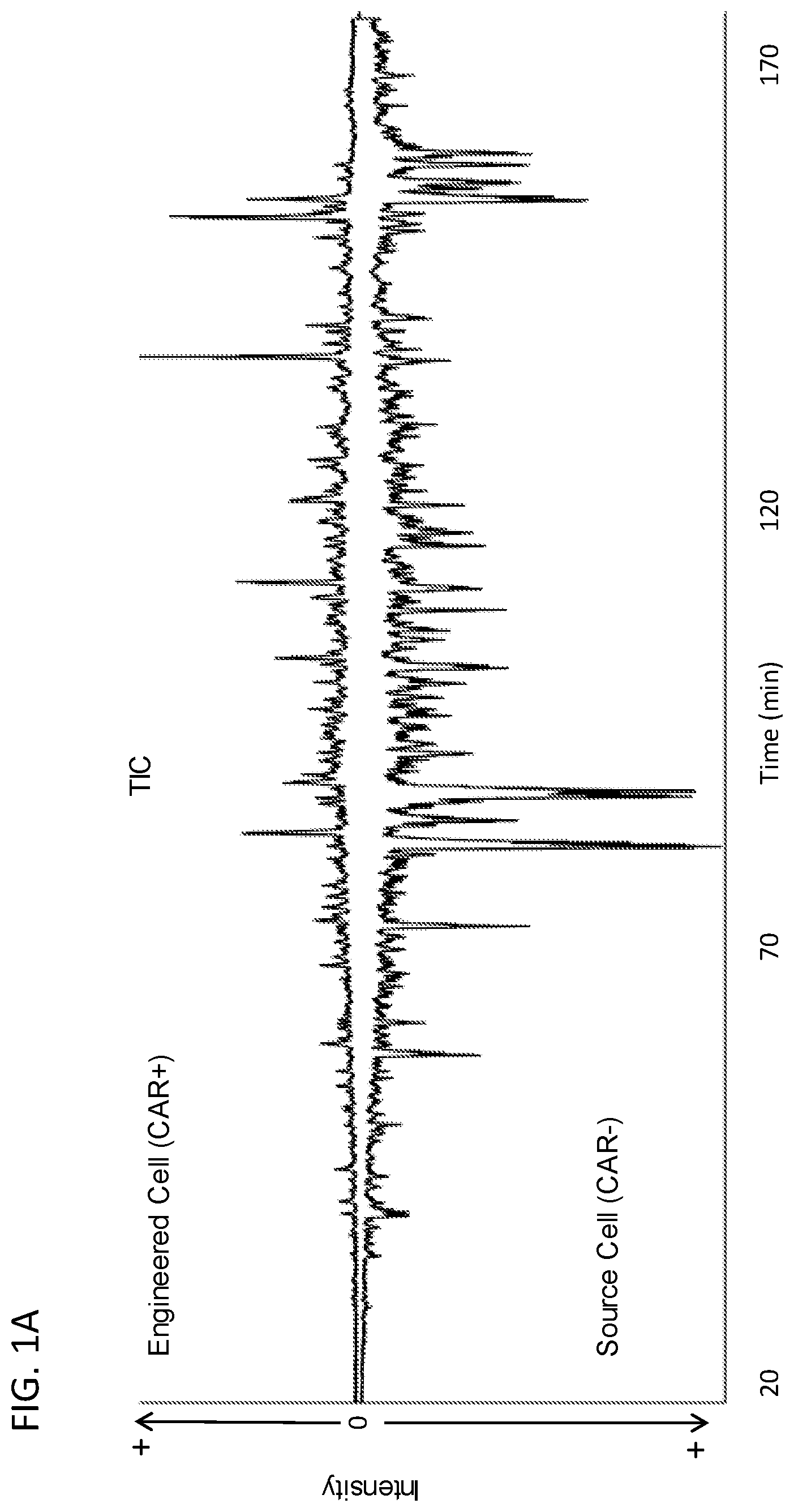 Patent US12366580 — Methods for mass spectrometry analysis of engineered cell compositions — Figure 1
