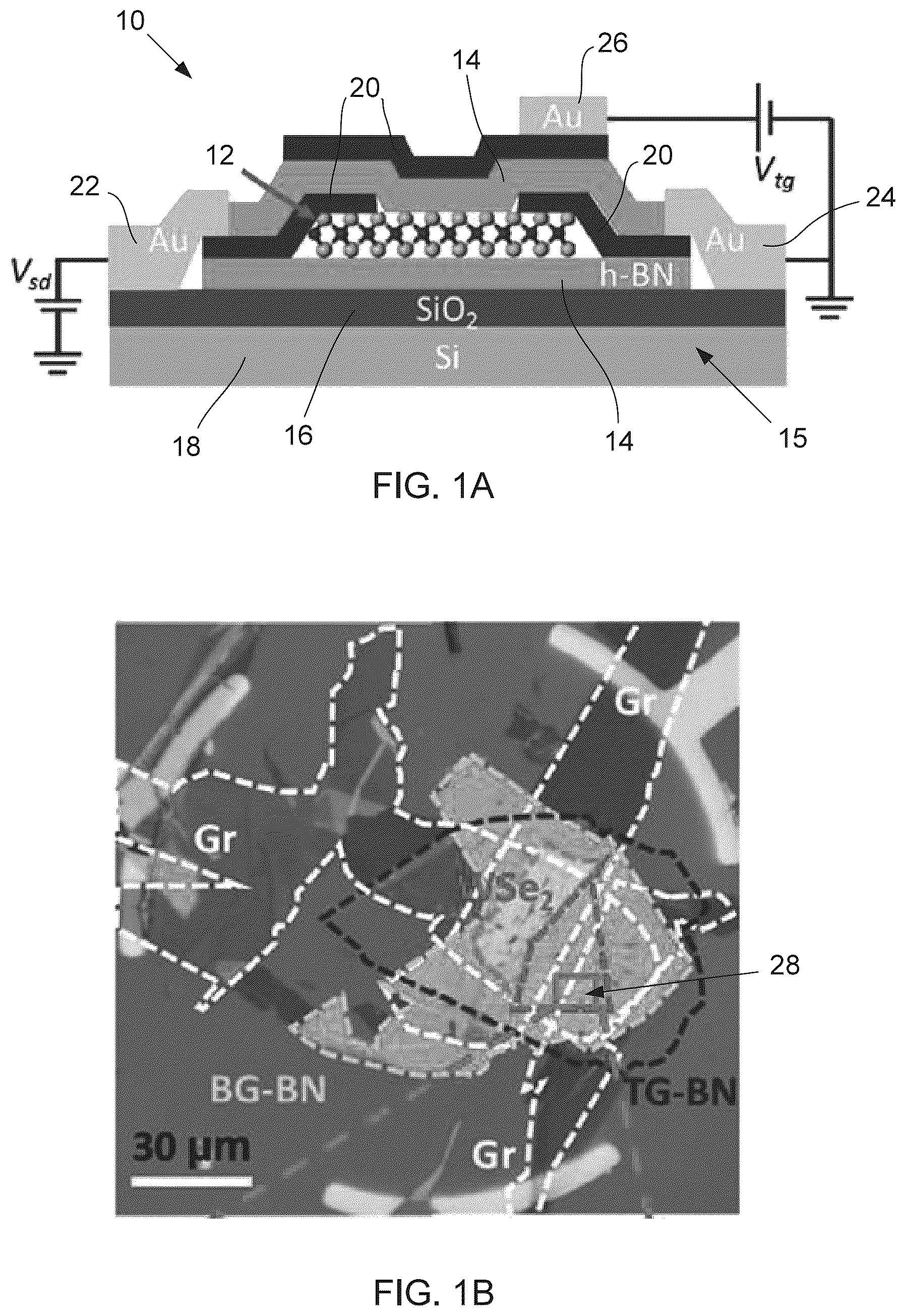 Patent US12366617 — Monolayer transition metal dichalcogenides having giant valley-polarized Rydberg excitons revealed by magneto-photocurrent spectroscopy — Figure 1