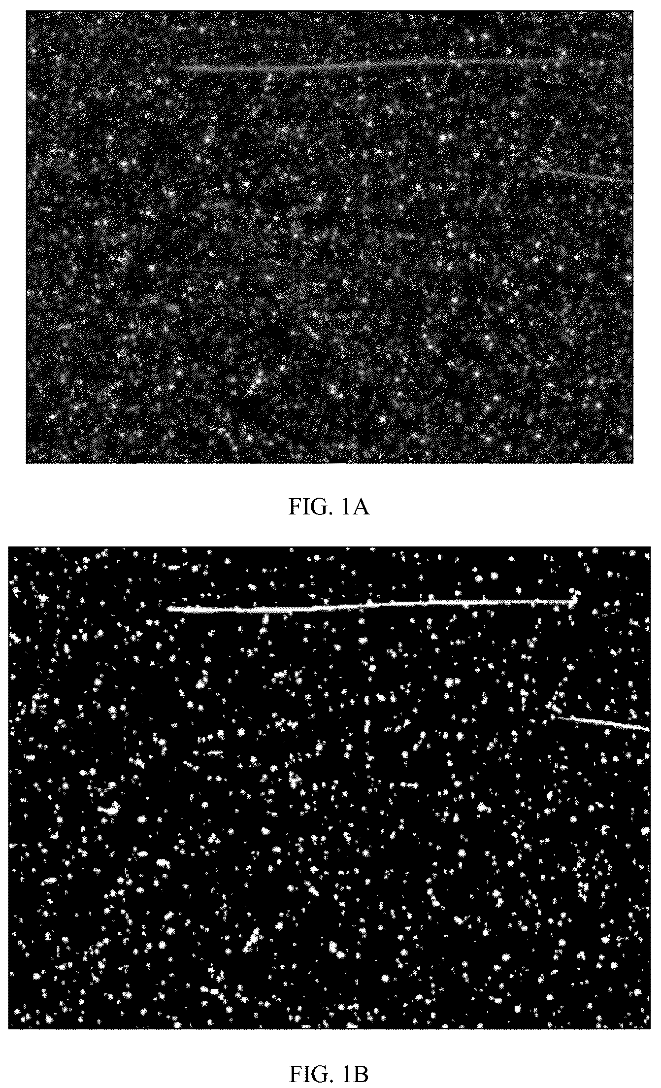 Patent US12367584 — Method and system for defect detection in image data of a target coating — Figure 1