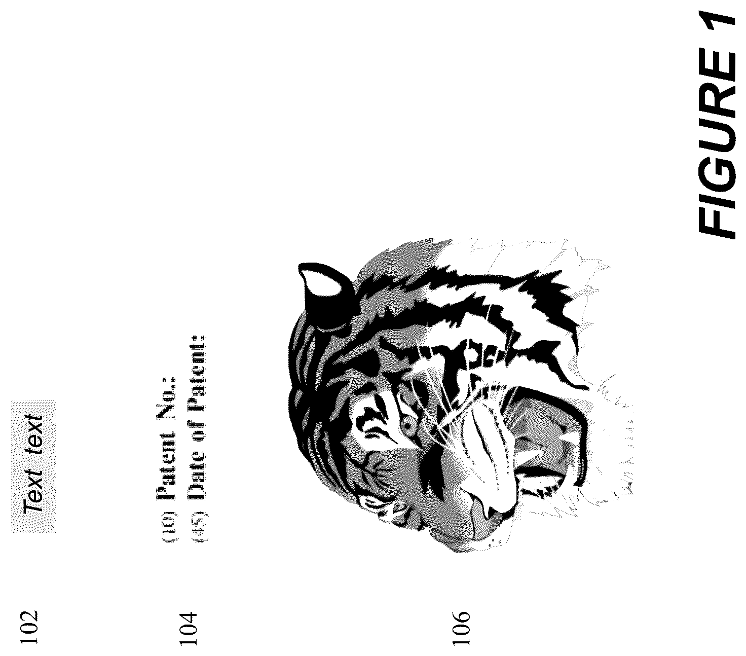 Patent US12367623 — Perspective correct vector graphics rendering techniques — Figure 1