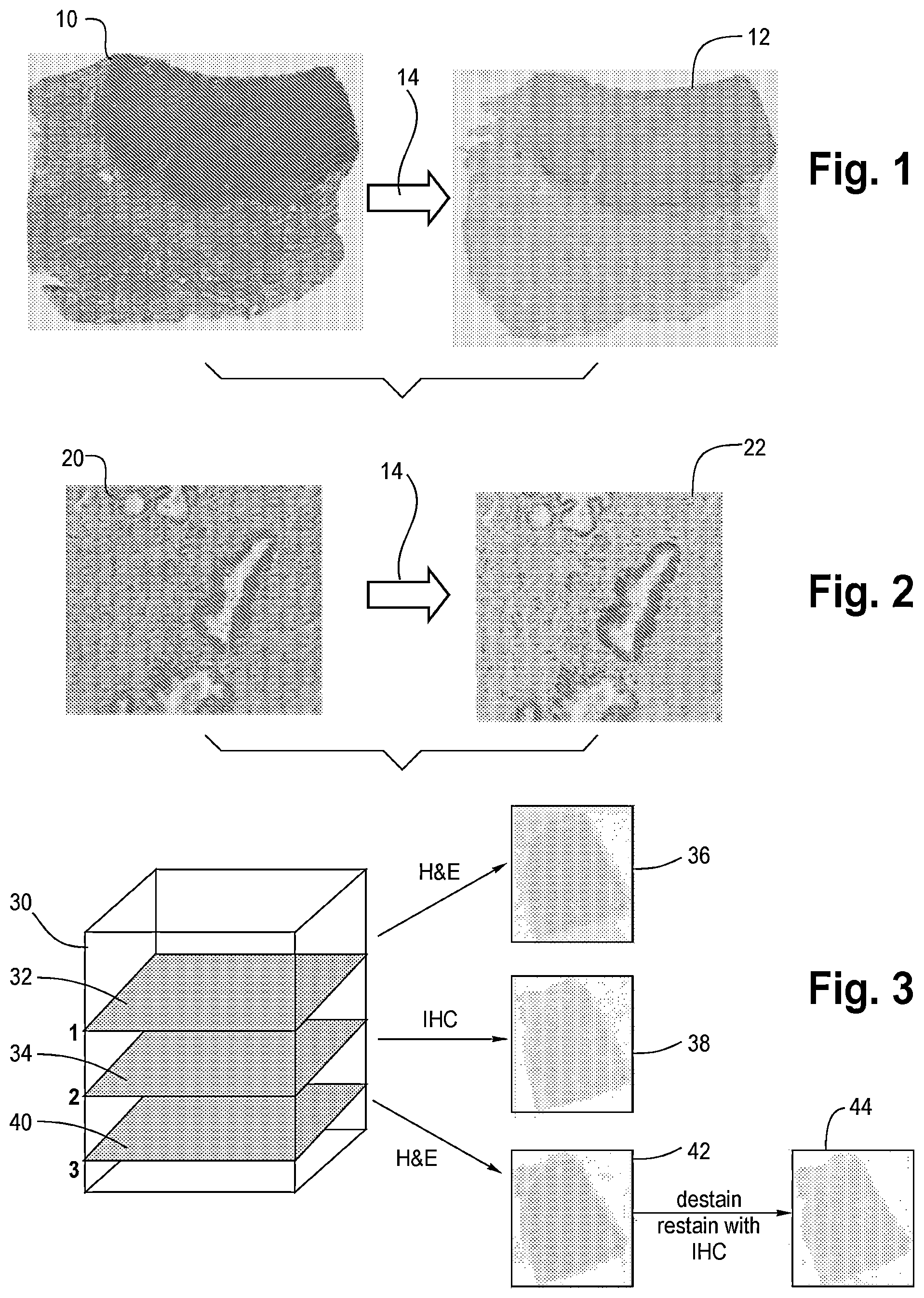 Patent US12367691 — Virtual staining for tissue slide images — Figure 1