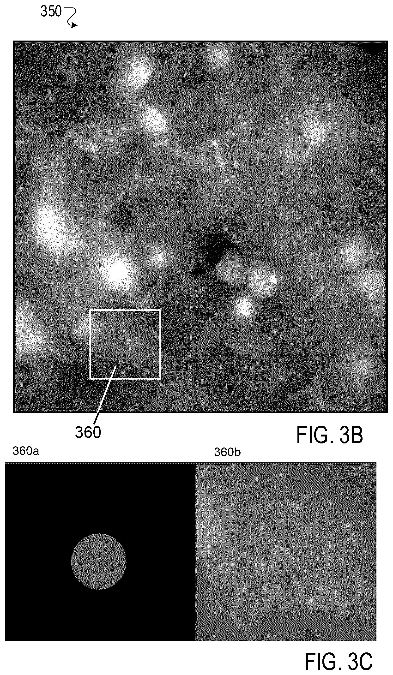 Patent US12367951 Figure 5 – Optimizing molecule toxicity by replacing target fragments with bioisosteres