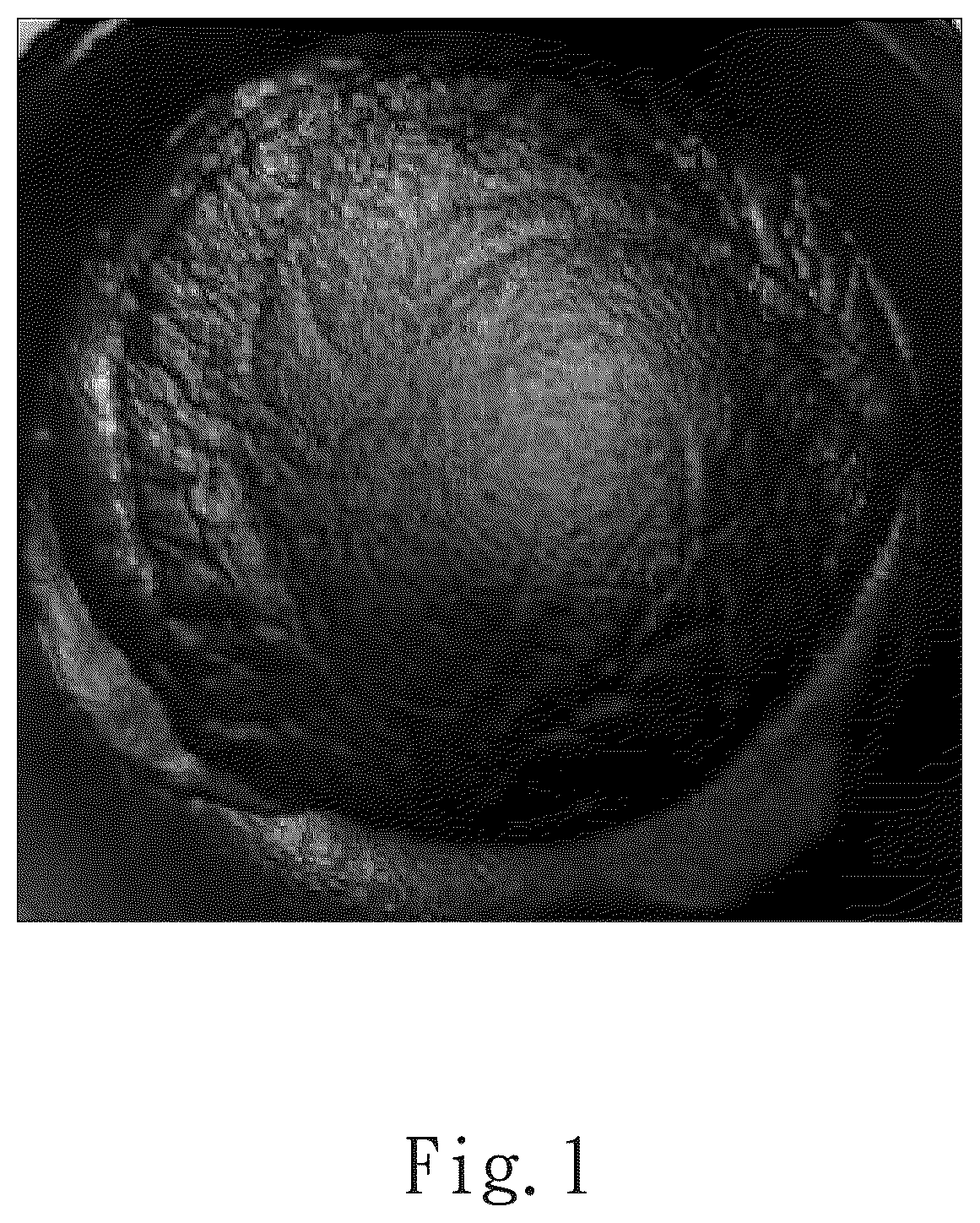 Patent US12367990 — Method of producing a vapor-permeable and liquid-impermeable porous structure electrode — Figure 1