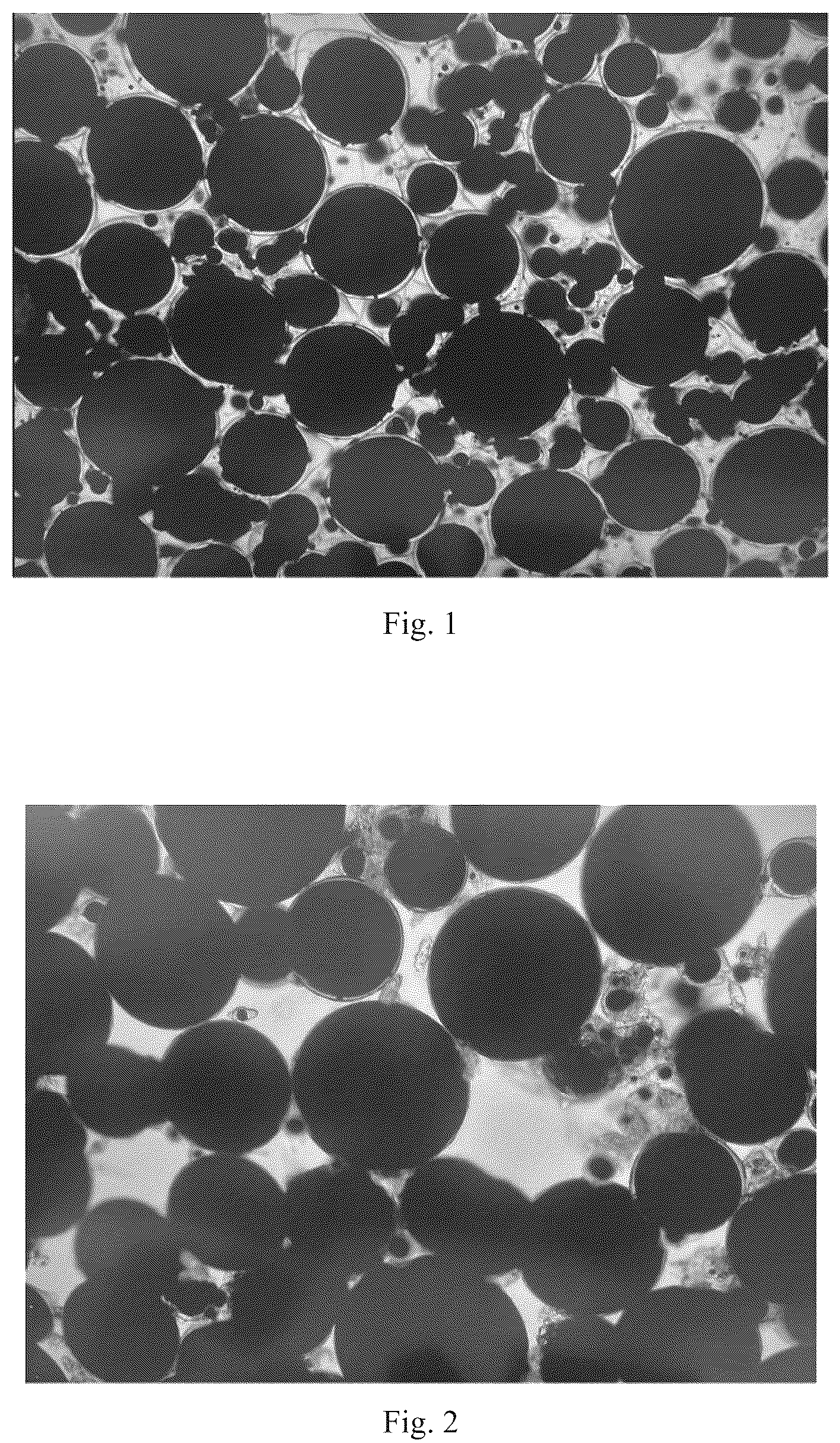 Patent US12367994 — Magnetic microcapsule, preparation method thereof, and magnetic film — Figure 1