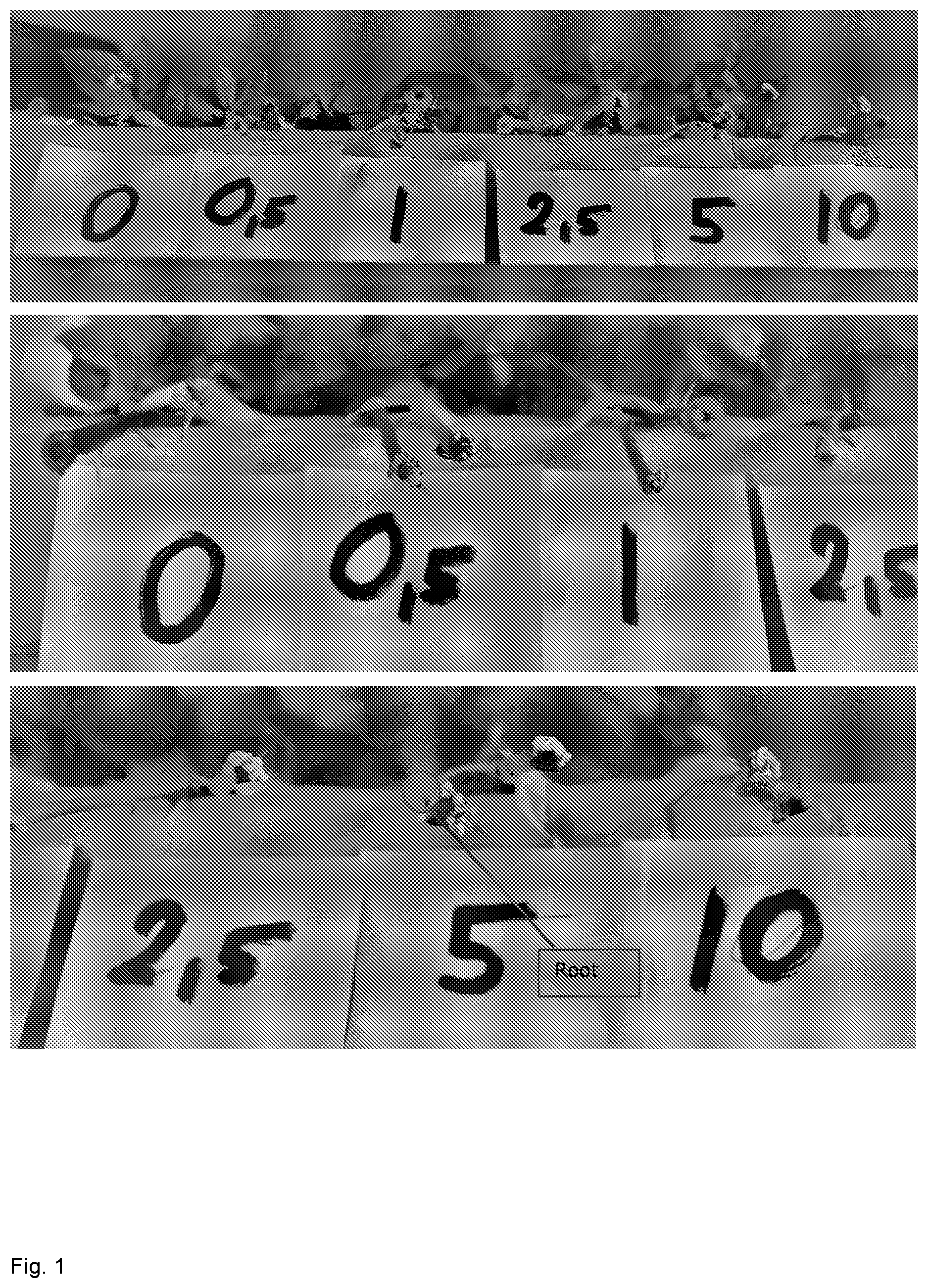 Patent US12376530 — Method for vegetative propagation of plants — Figure 1