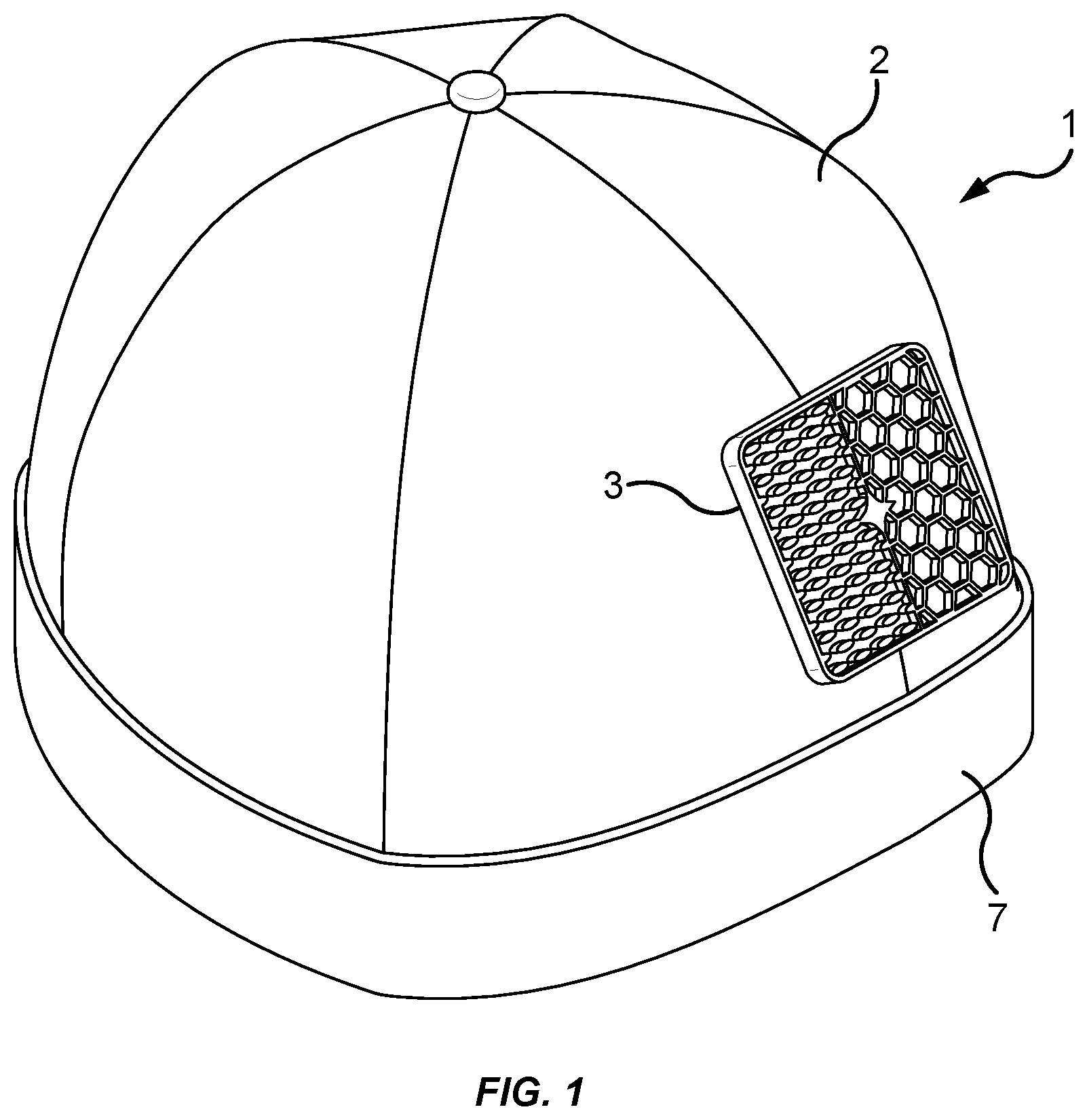 Patent US12376563 — Grooming assistance device — Figure 1