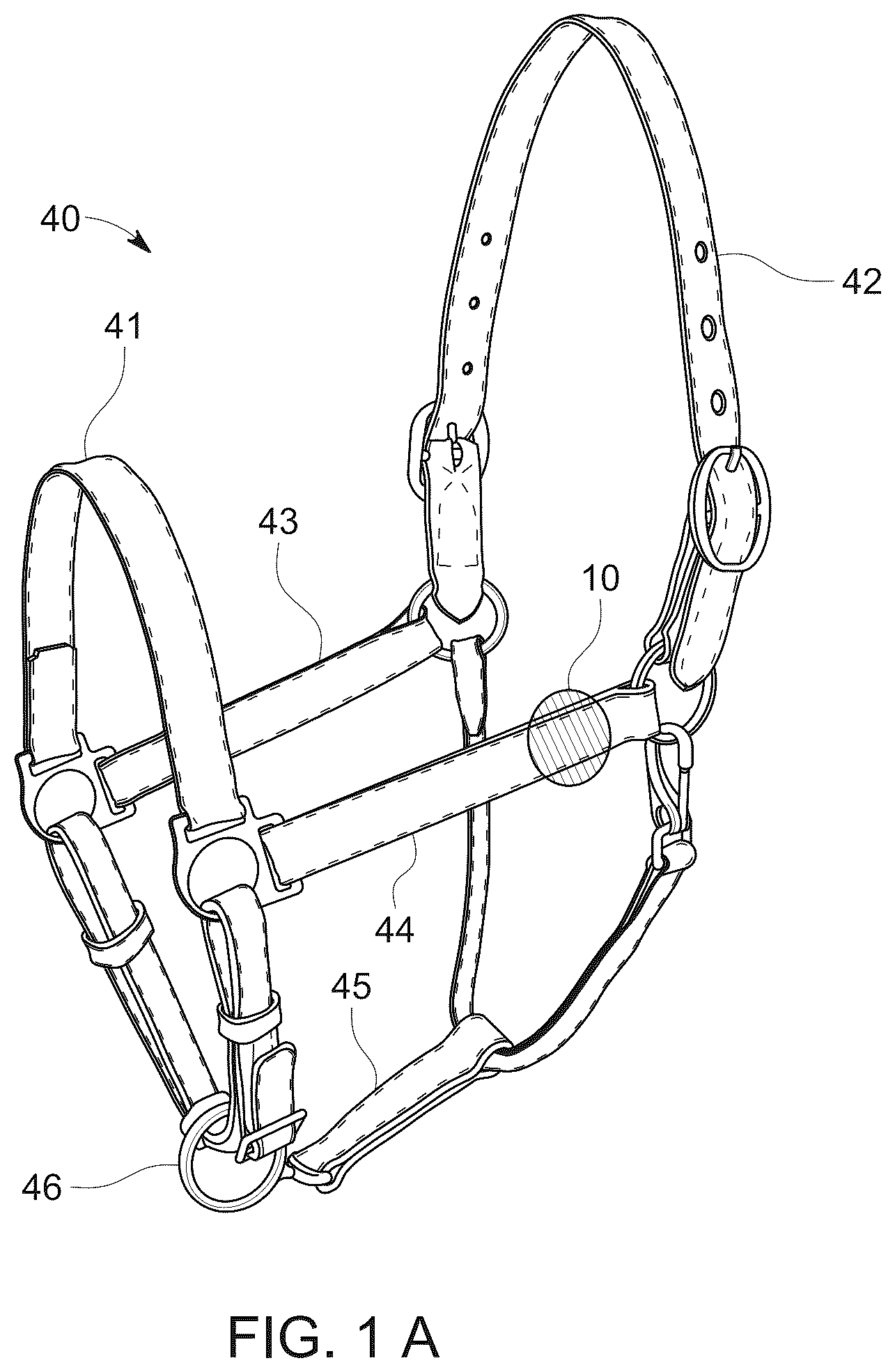 Patent US12376570 — Animal health and safety system and method — Figure 1