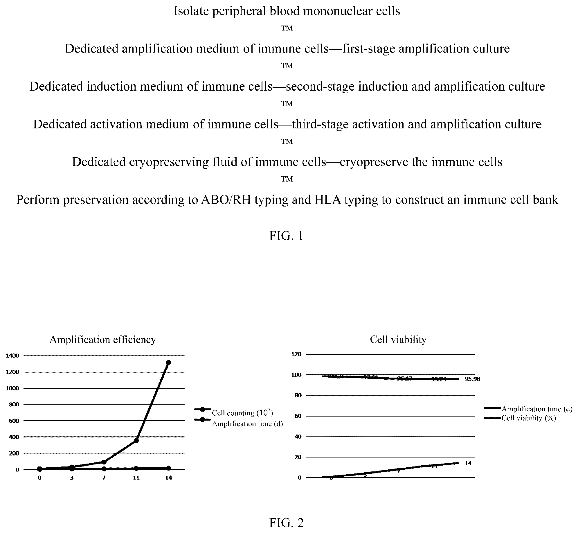 Patent US12376584 — In-vitro culture, induction, activation and cryopreservation method and cell bank establishment for immune cells — Figure 1