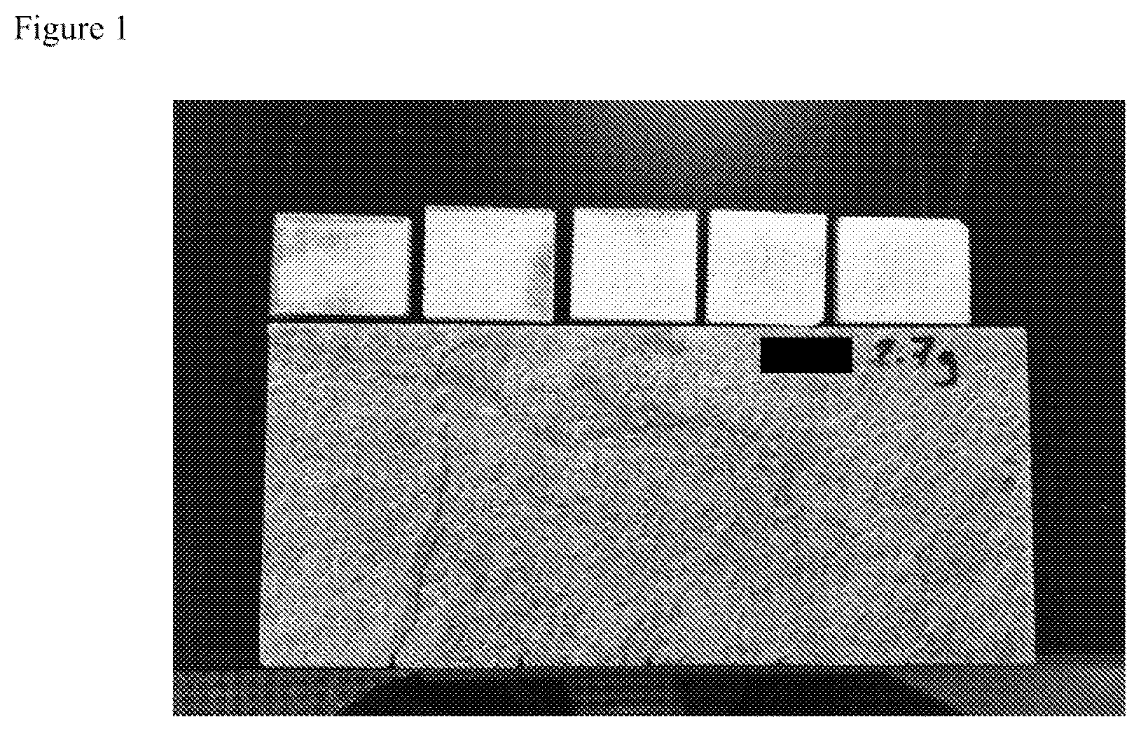 Patent US12376593 — Method of treating a glazed ceramic article — Figure 1