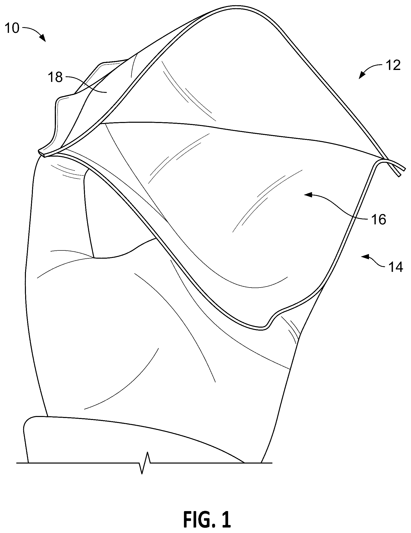 Patent US12376650 — Self-warming footwear — Figure 1