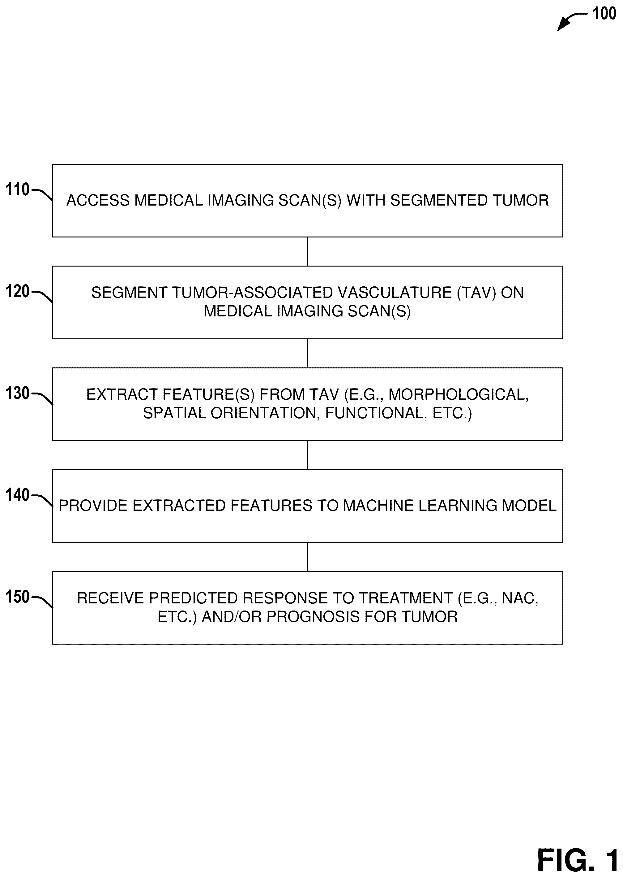Patent US12376750 — Tumor characterization and outcome prediction through quantitative measurements of tumor-associated vasculature — Figure 1