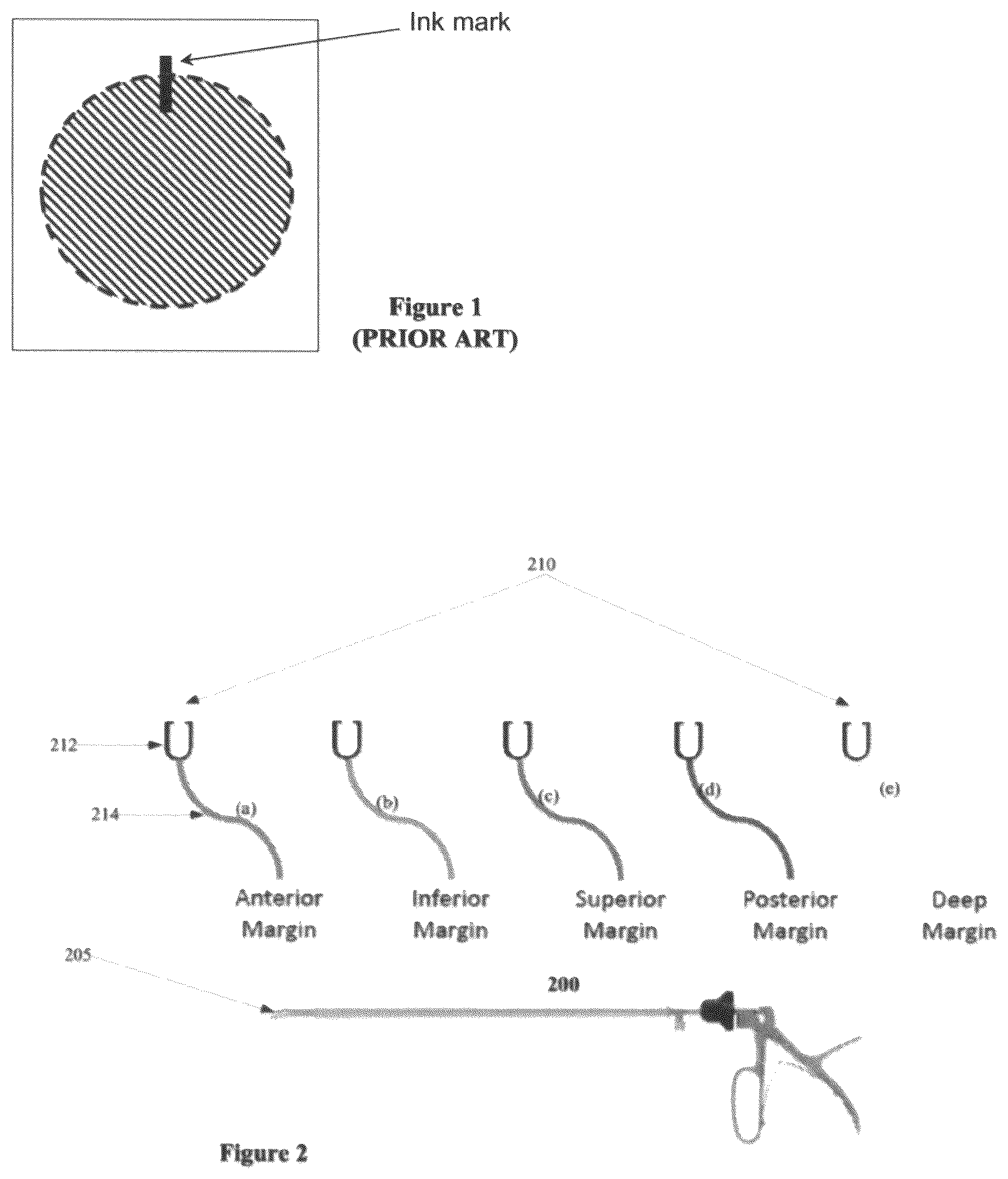 Patent US12376939 — Method of marking a specimen — Figure 1