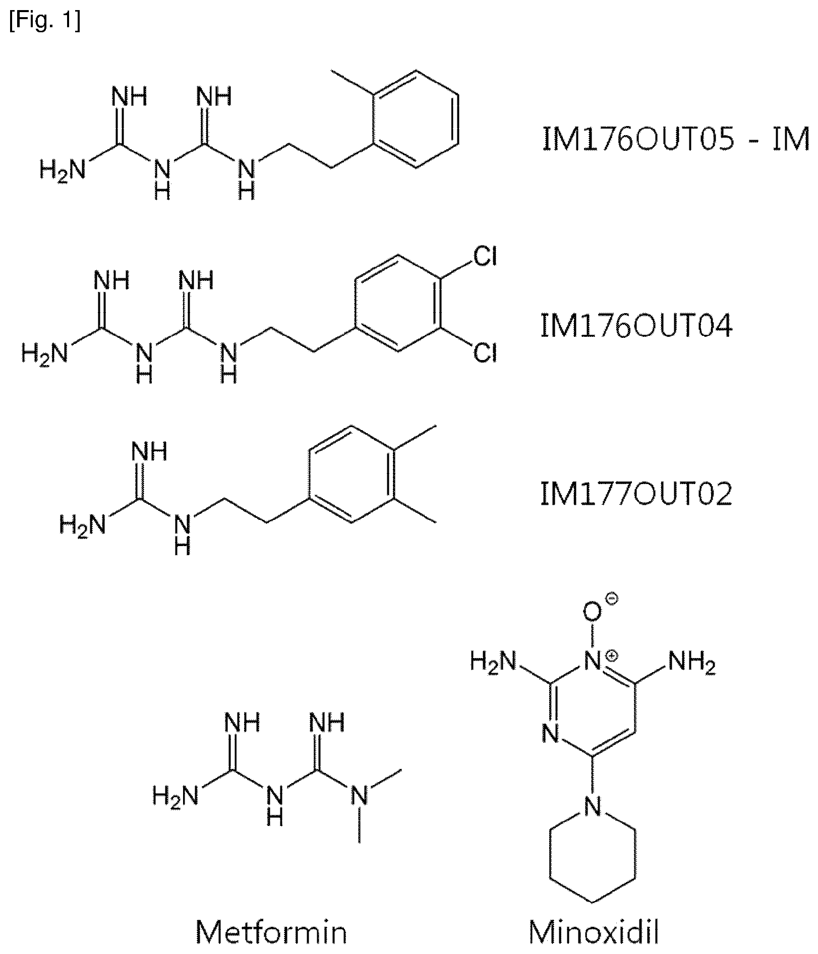 Patent US12377061 — Composition for promoting hair growth comprising a guanine derivative — Figure 1
